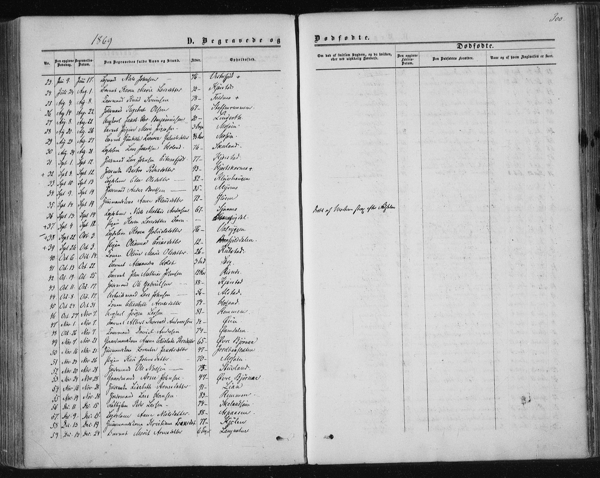 Ministerialprotokoller, klokkerbøker og fødselsregistre - Nordland, SAT/A-1459/820/L0294: Parish register (official) no. 820A15, 1866-1879, p. 300