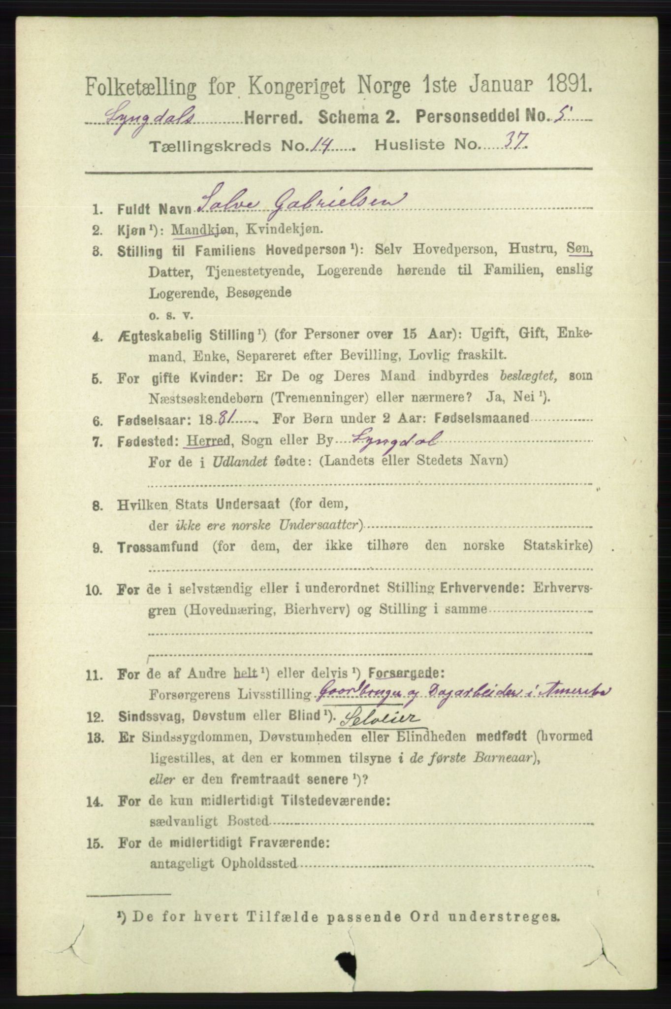 RA, 1891 census for 1032 Lyngdal, 1891, p. 6016