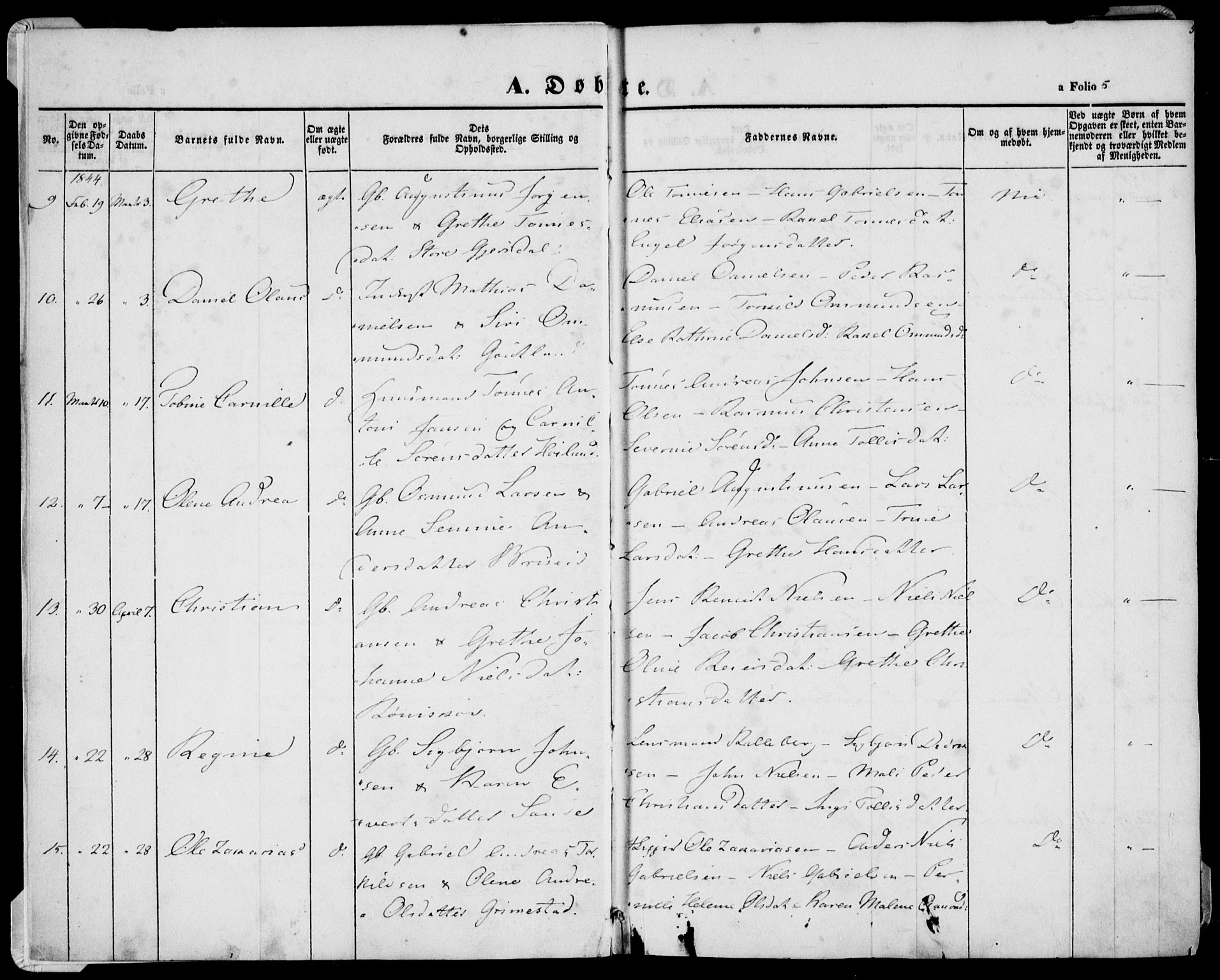 Herad sokneprestkontor, SAK/1111-0018/F/Fa/Faa/L0004: Parish register (official) no. A 4, 1844-1853, p. 5