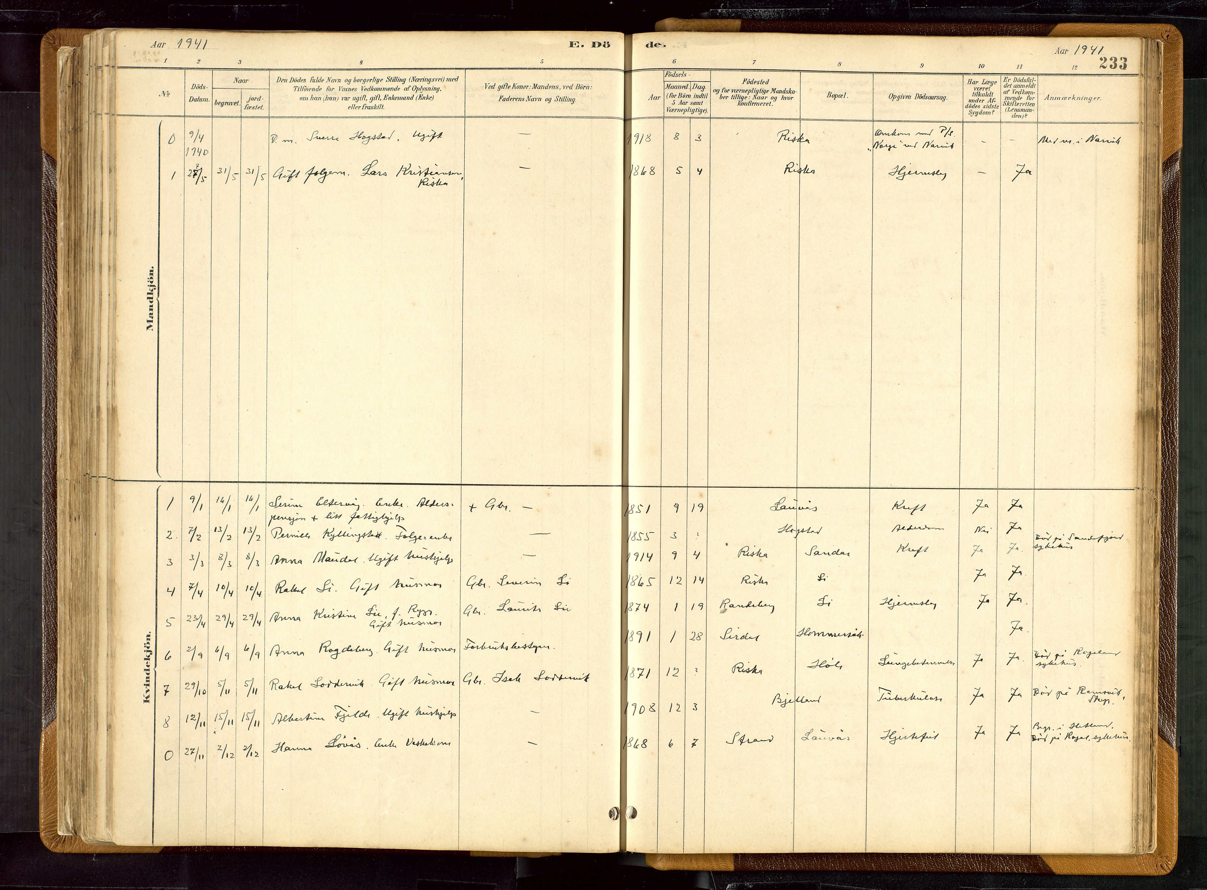 Hetland sokneprestkontor, SAST/A-101826/30/30BB/L0007: Parish register (copy) no. B 7, 1878-1910, p. 233