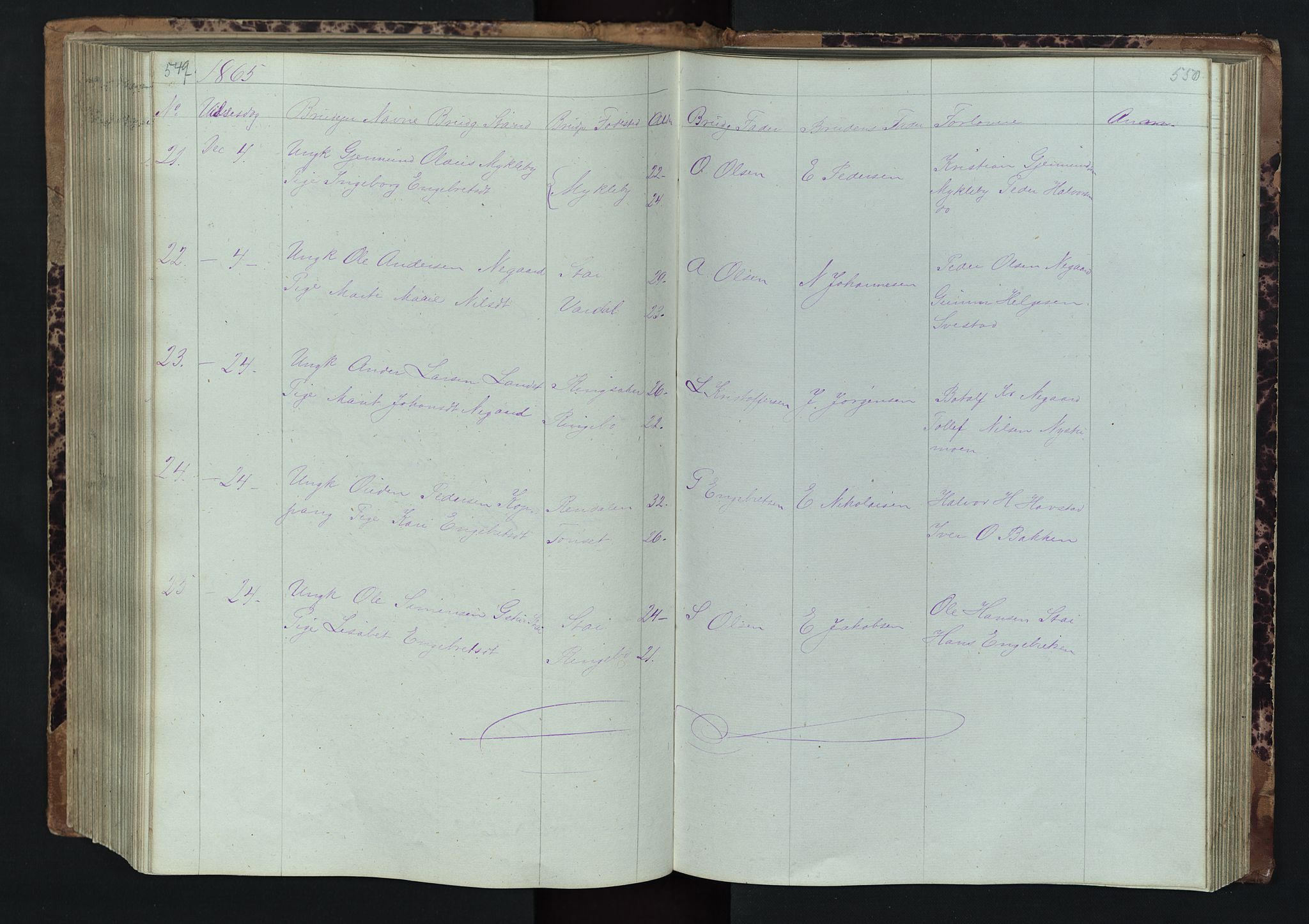 Stor-Elvdal prestekontor, SAH/PREST-052/H/Ha/Hab/L0001: Parish register (copy) no. 1 /1, 1860-1894, p. 549-550