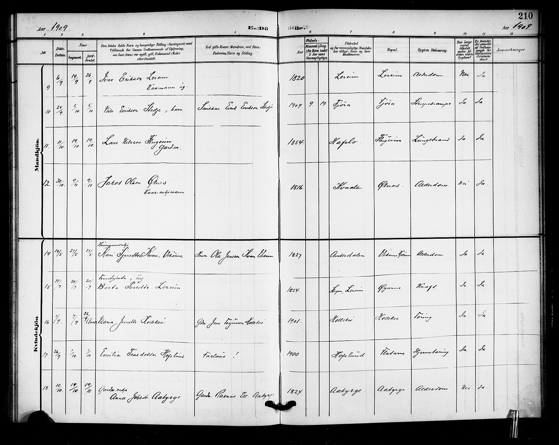 Sogndal sokneprestembete, AV/SAB-A-81301/H/Hab/Haba/L0002: Parish register (copy) no. A 2, 1908-1924, p. 210