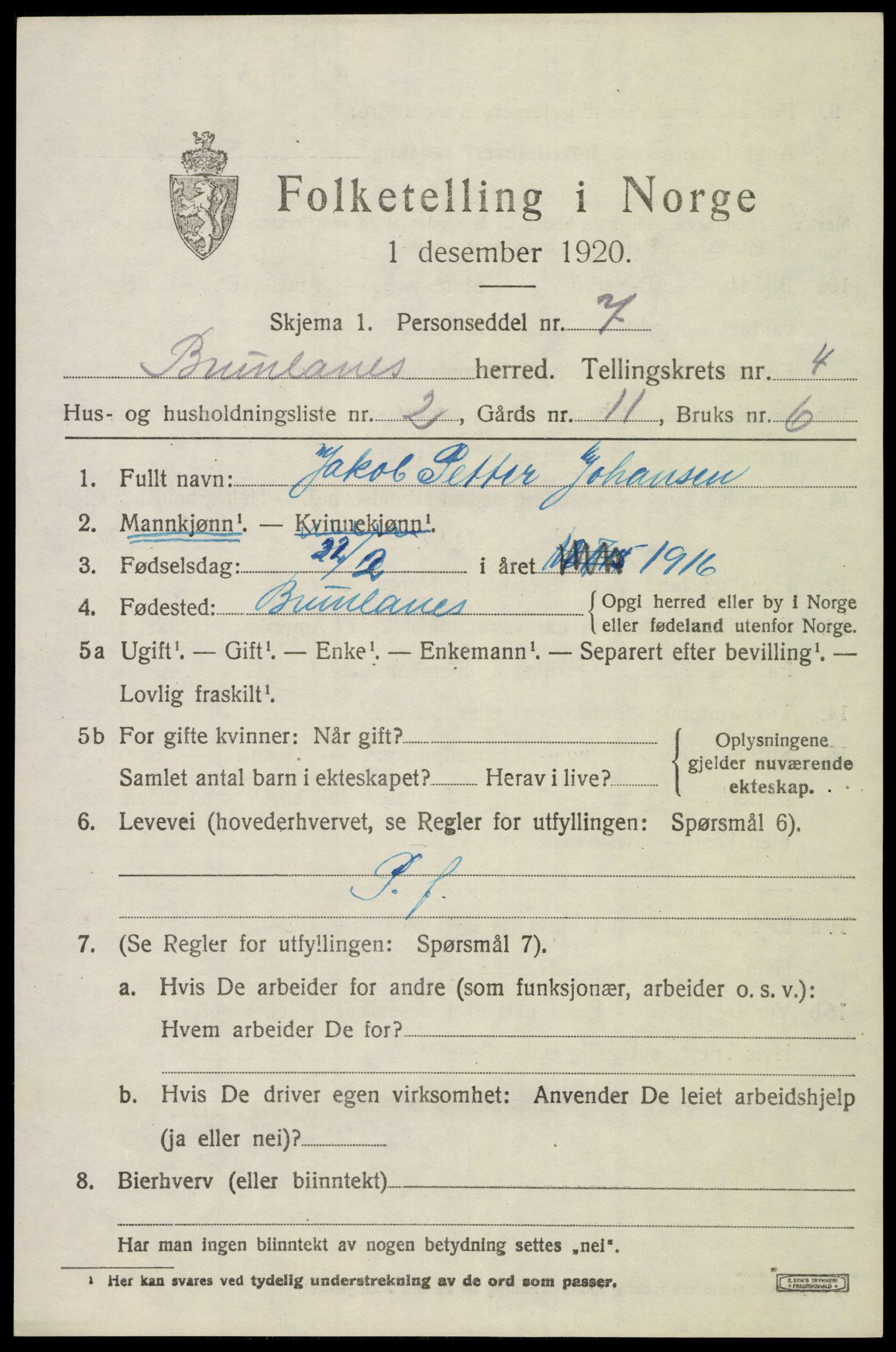 SAKO, 1920 census for Brunlanes, 1920, p. 6137