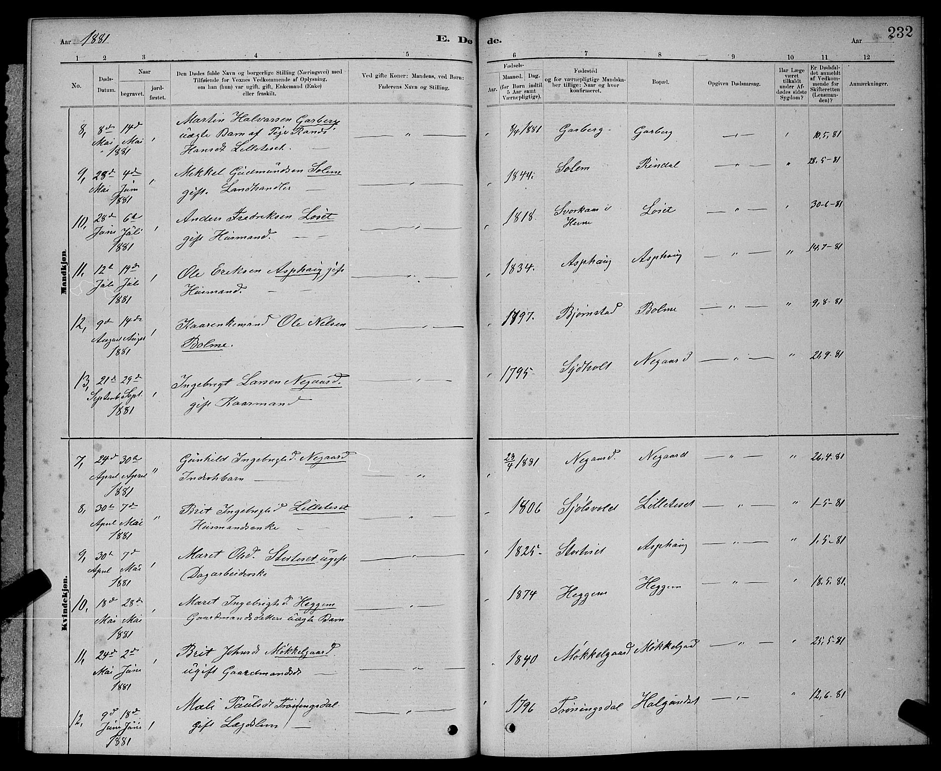 Ministerialprotokoller, klokkerbøker og fødselsregistre - Møre og Romsdal, AV/SAT-A-1454/598/L1077: Parish register (copy) no. 598C02, 1879-1891, p. 232