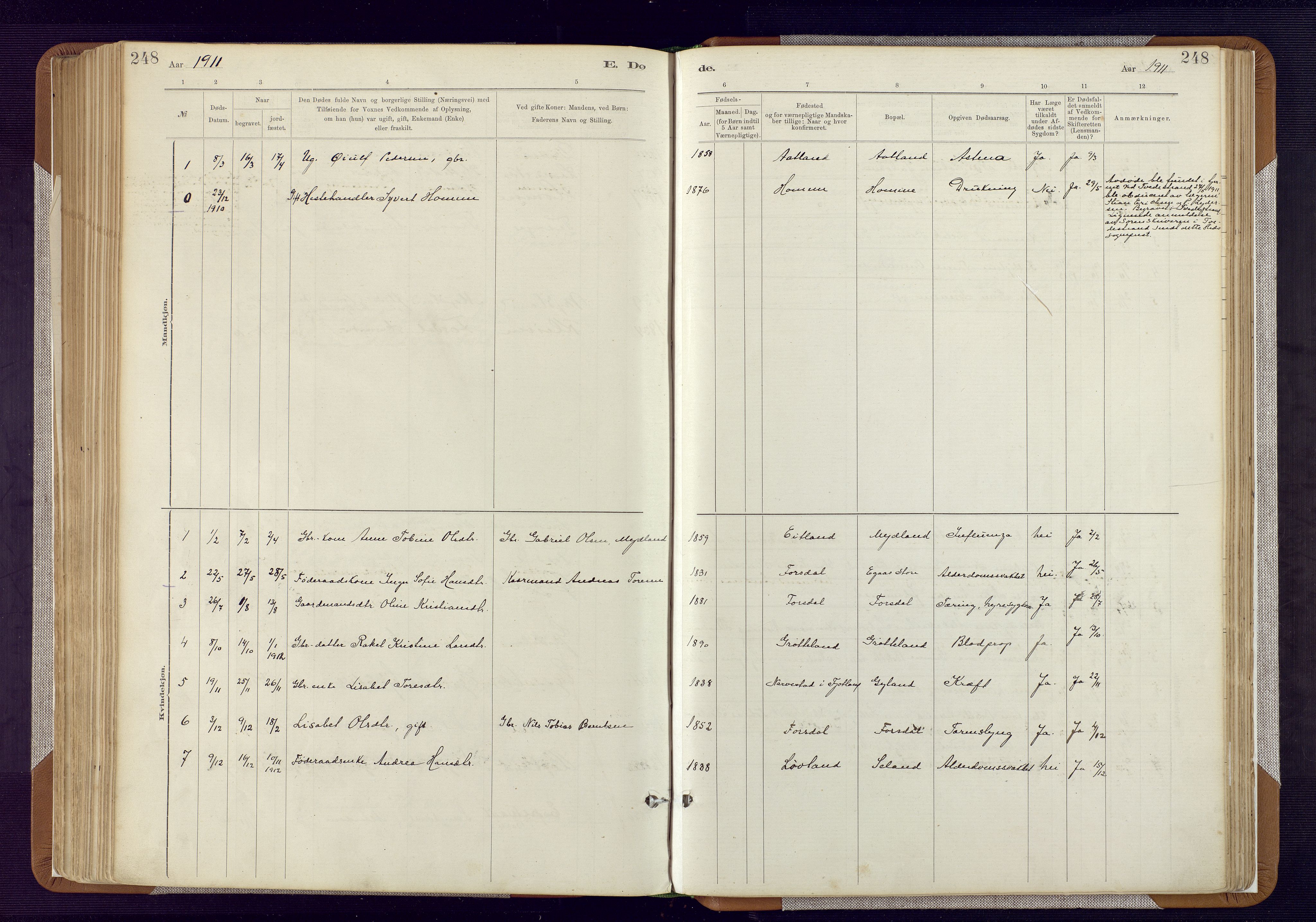 Bakke sokneprestkontor, SAK/1111-0002/F/Fa/Fab/L0003: Parish register (official) no. A 3, 1884-1921, p. 248