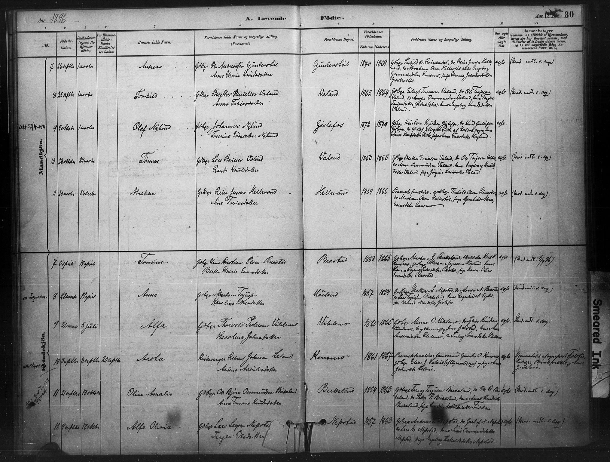 Nord-Audnedal sokneprestkontor, SAK/1111-0032/F/Fa/Faa/L0003: Parish register (official) no. A 3, 1882-1900, p. 30