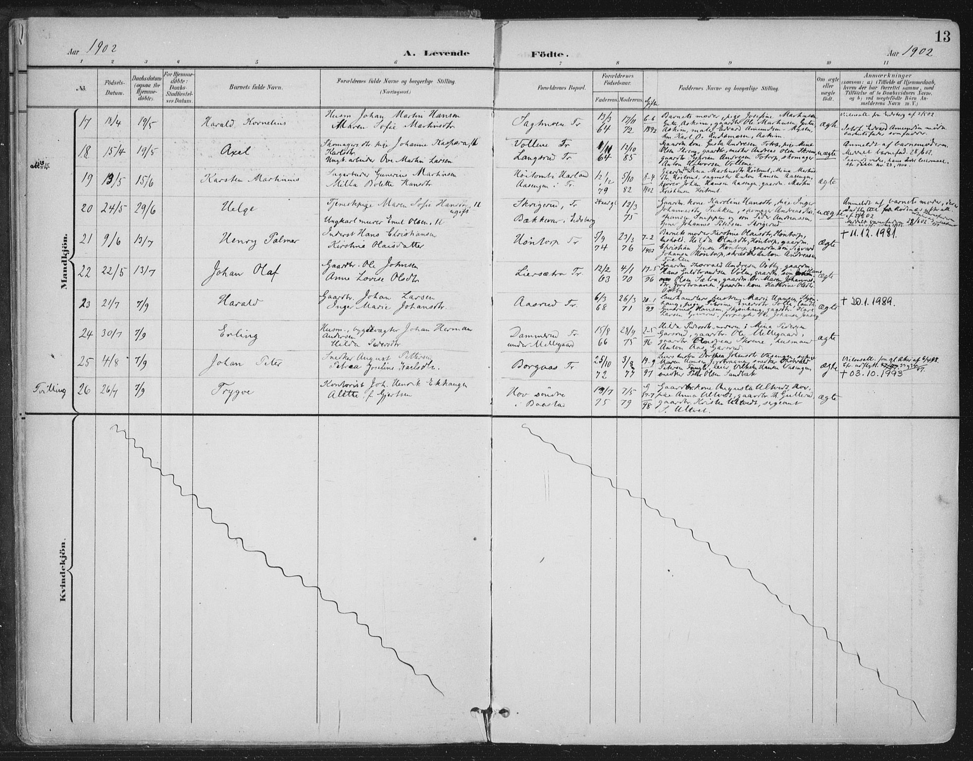 Trøgstad prestekontor Kirkebøker, SAO/A-10925/F/Fa/L0011: Parish register (official) no. I 11, 1899-1919, p. 13