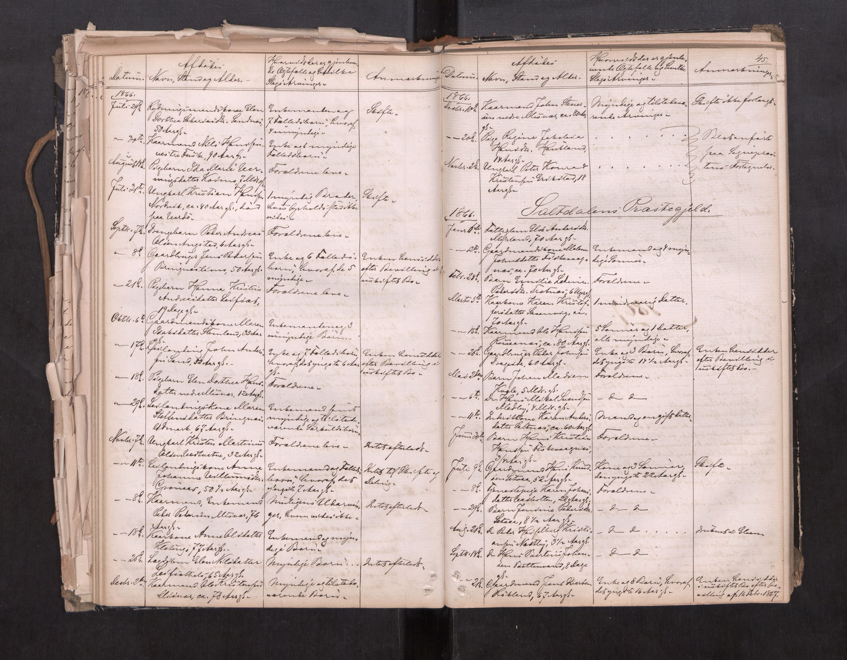 Salten sorenskriveri, AV/SAT-A-4578/1/3/3L/L0001: Dødsfallprotokoll, 1863-1876, p. 45