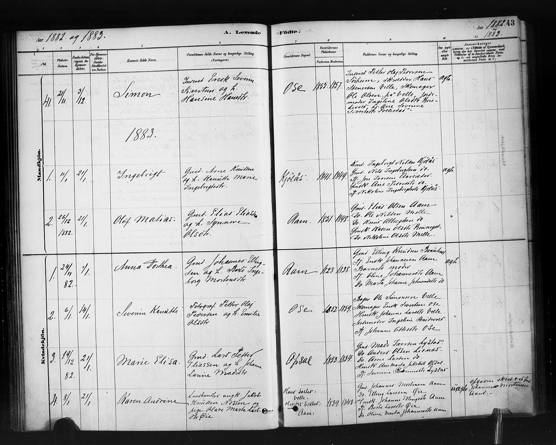 Ministerialprotokoller, klokkerbøker og fødselsregistre - Møre og Romsdal, AV/SAT-A-1454/513/L0176: Parish register (official) no. 513A03, 1877-1889, p. 43