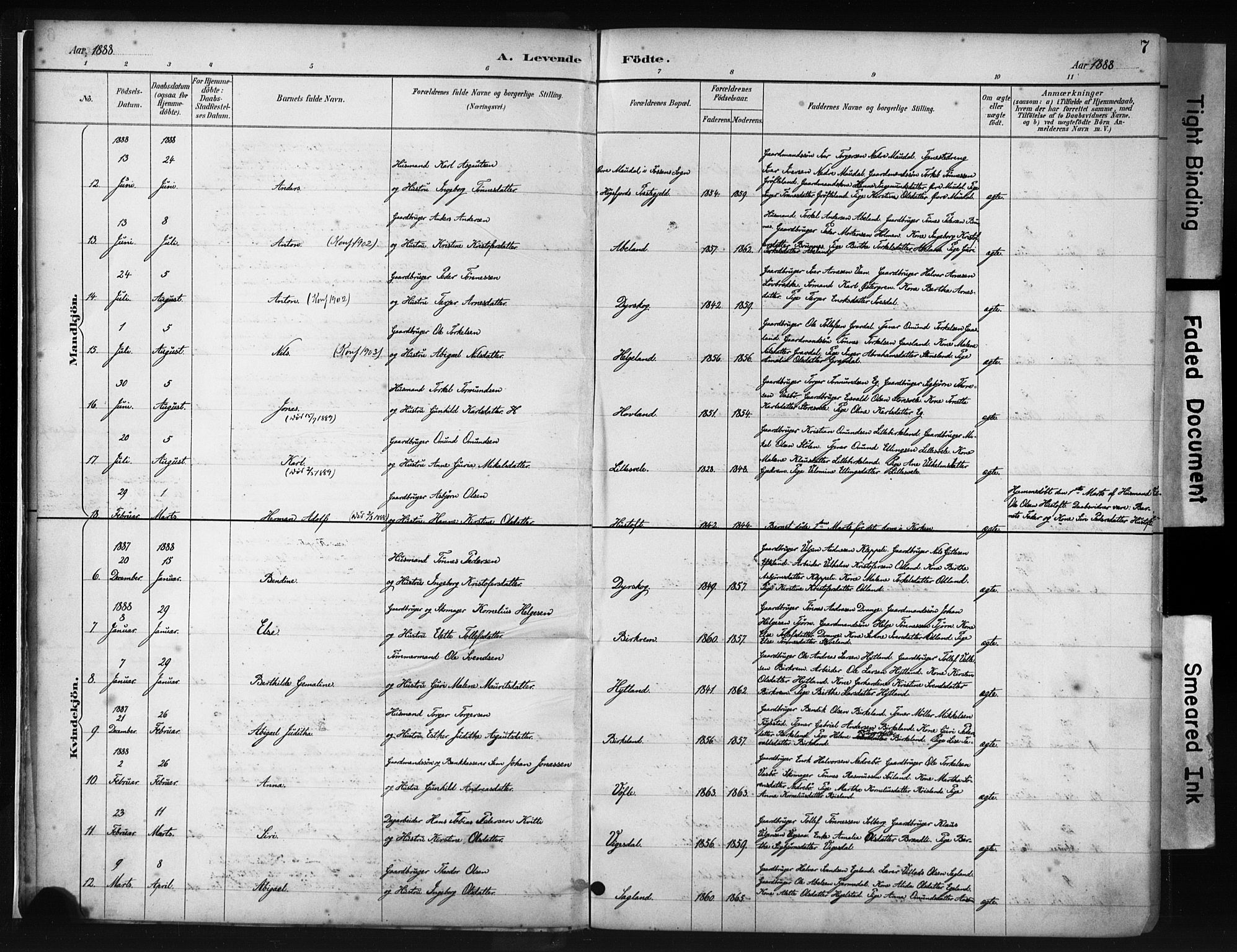 Helleland sokneprestkontor, AV/SAST-A-101810: Parish register (official) no. A 9, 1887-1908, p. 7