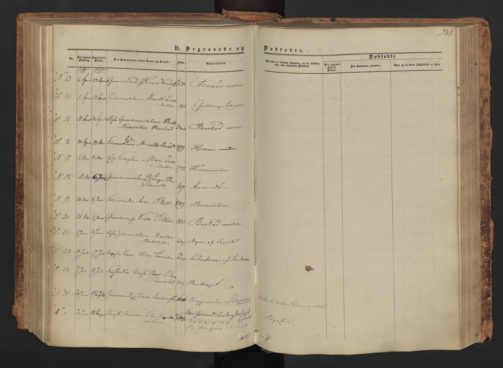 Skjåk prestekontor, SAH/PREST-072/H/Ha/Haa/L0001: Parish register (official) no. 1, 1863-1879, p. 247