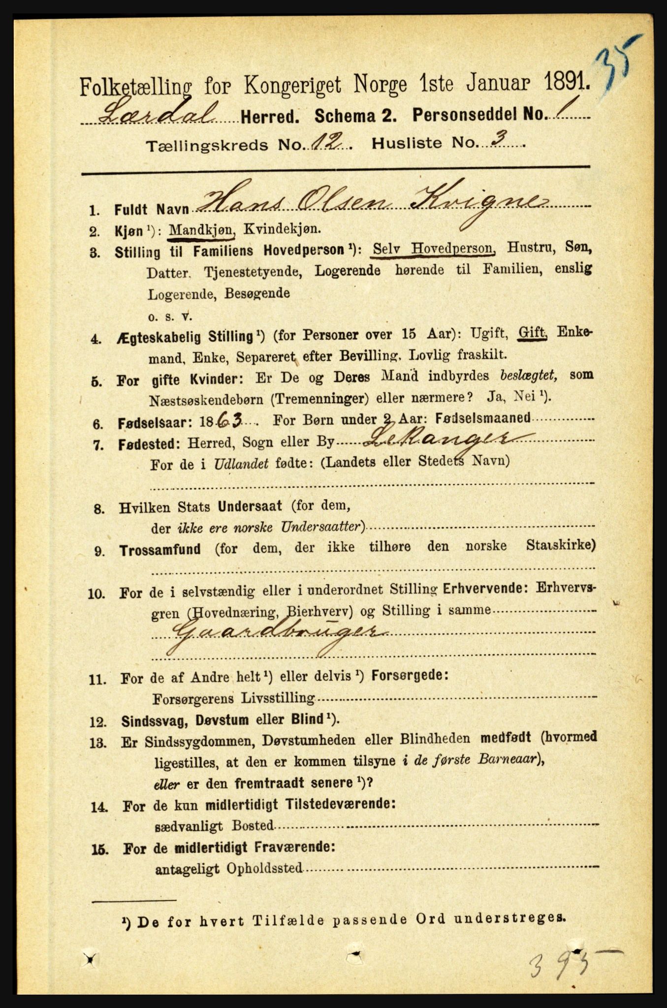 RA, 1891 census for 1422 Lærdal, 1891, p. 2564