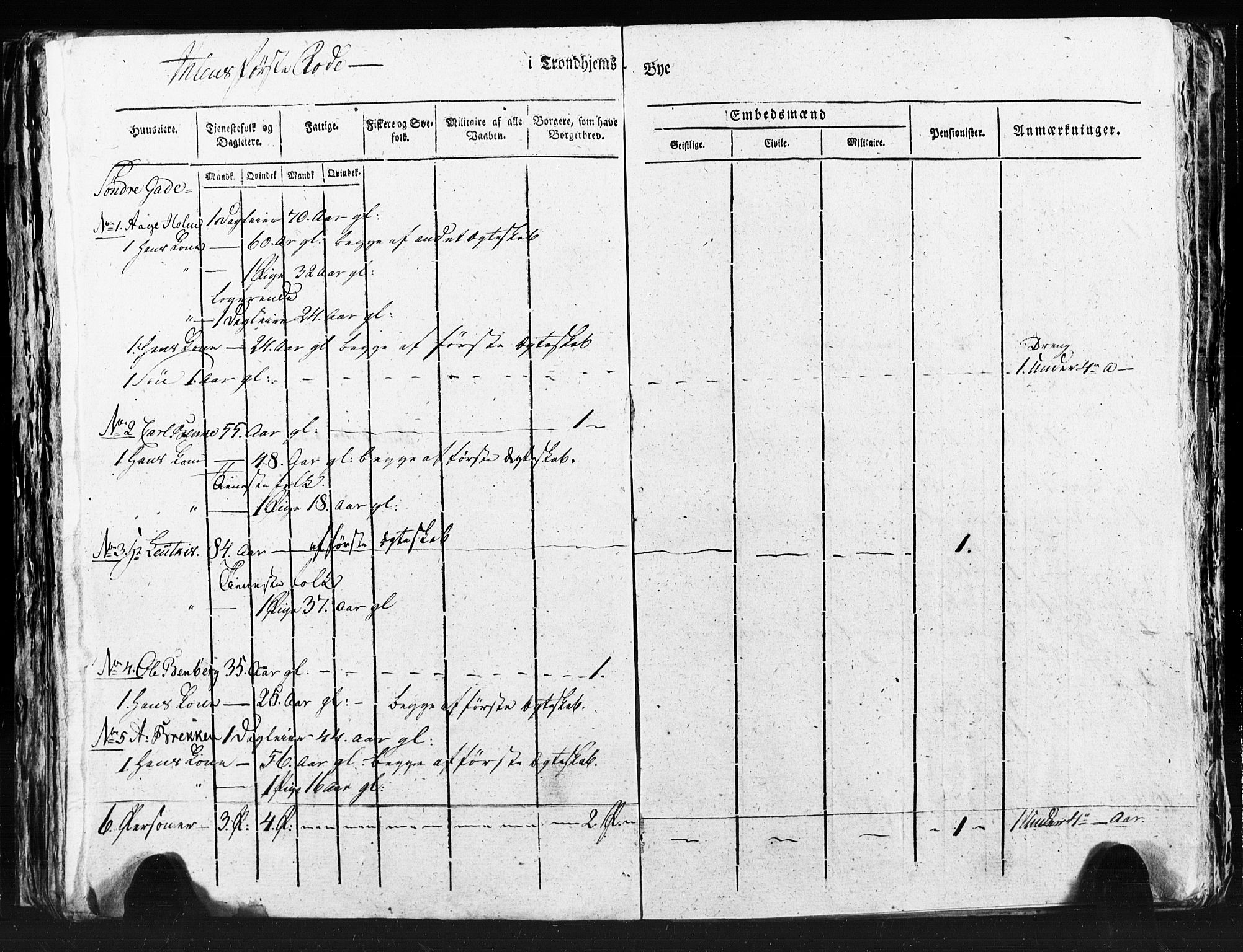 SAT, Census 1815 for Trondheim (transcript), 1815, p. 289