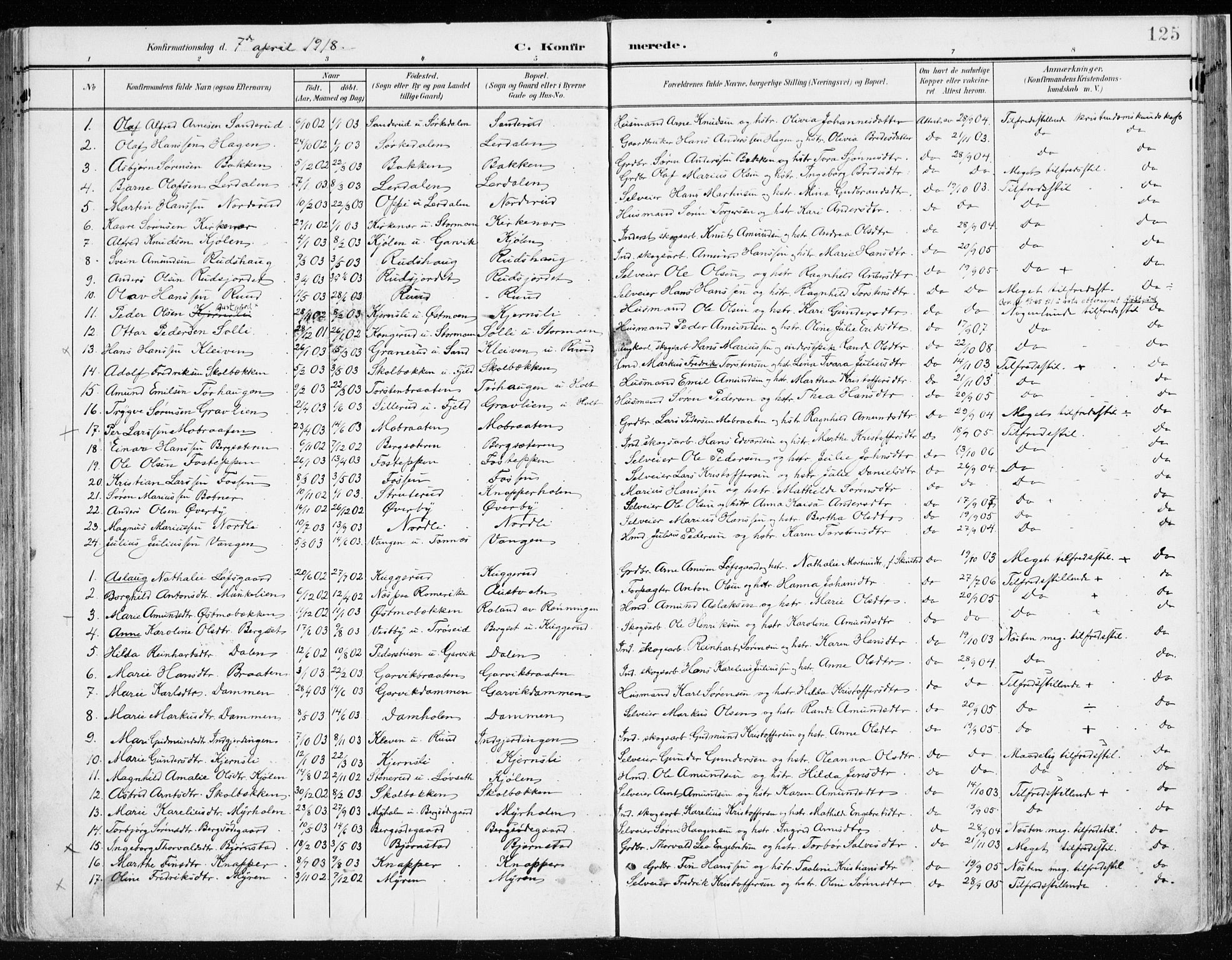 Nord-Odal prestekontor, AV/SAH-PREST-032/H/Ha/Haa/L0009: Parish register (official) no. 9, 1902-1926, p. 125