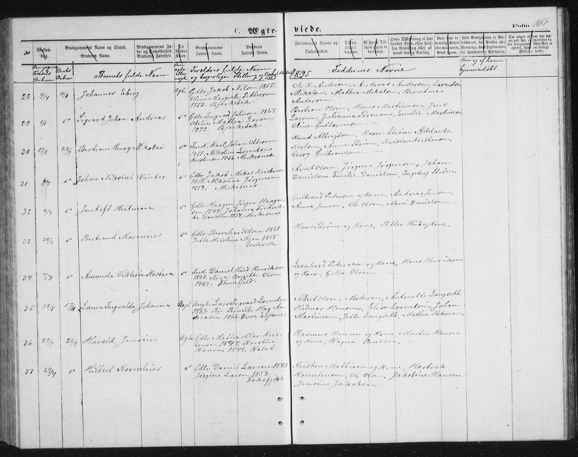 Tranøy sokneprestkontor, AV/SATØ-S-1313/I/Ia/Iab/L0013klokker: Parish register (copy) no. 13, 1874-1896, p. 161