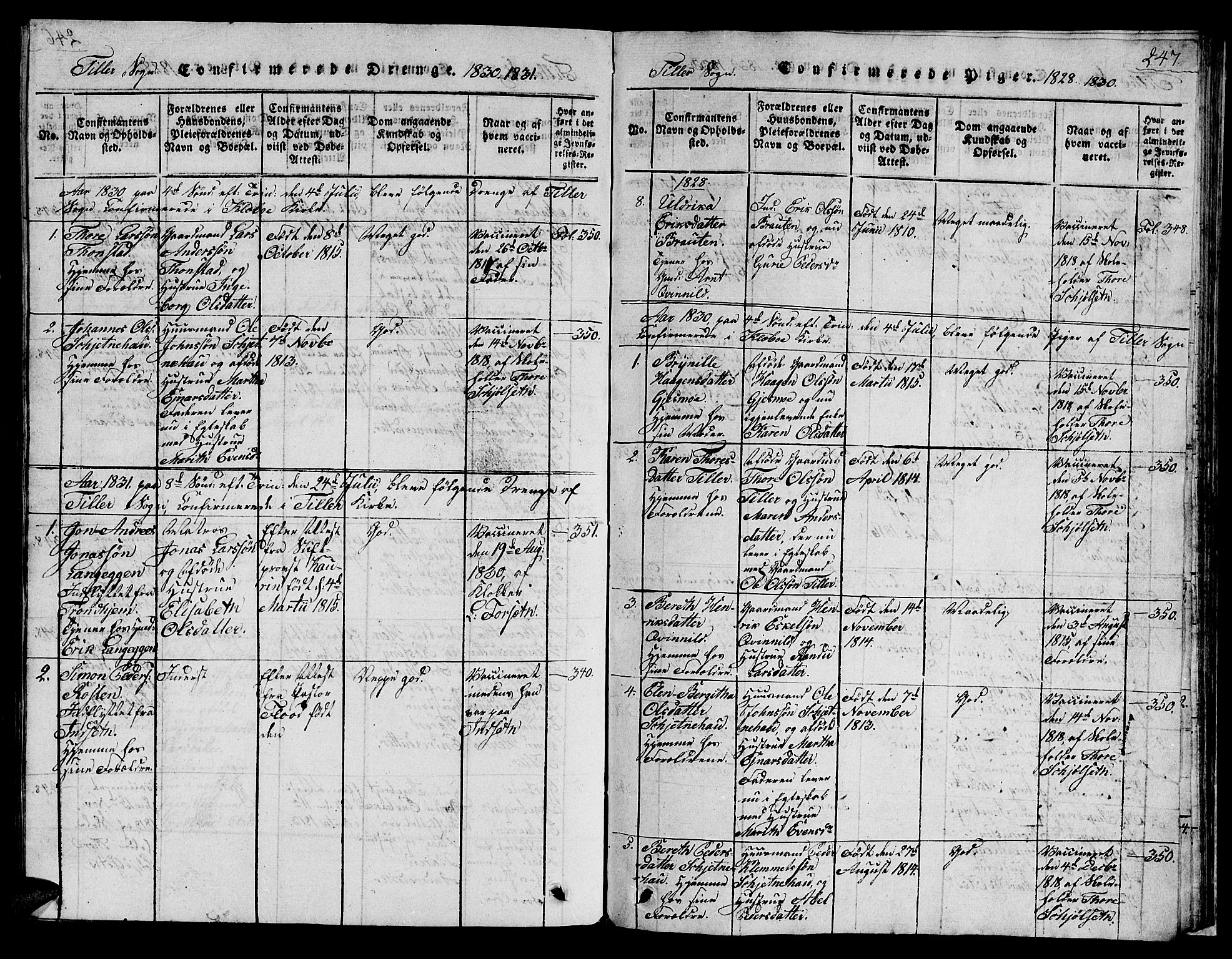 Ministerialprotokoller, klokkerbøker og fødselsregistre - Sør-Trøndelag, SAT/A-1456/621/L0458: Parish register (copy) no. 621C01, 1816-1865, p. 247