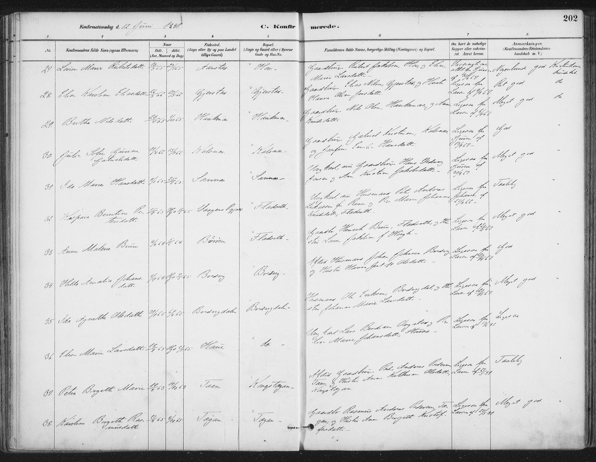 Ministerialprotokoller, klokkerbøker og fødselsregistre - Nordland, AV/SAT-A-1459/888/L1244: Parish register (official) no. 888A10, 1880-1890, p. 202