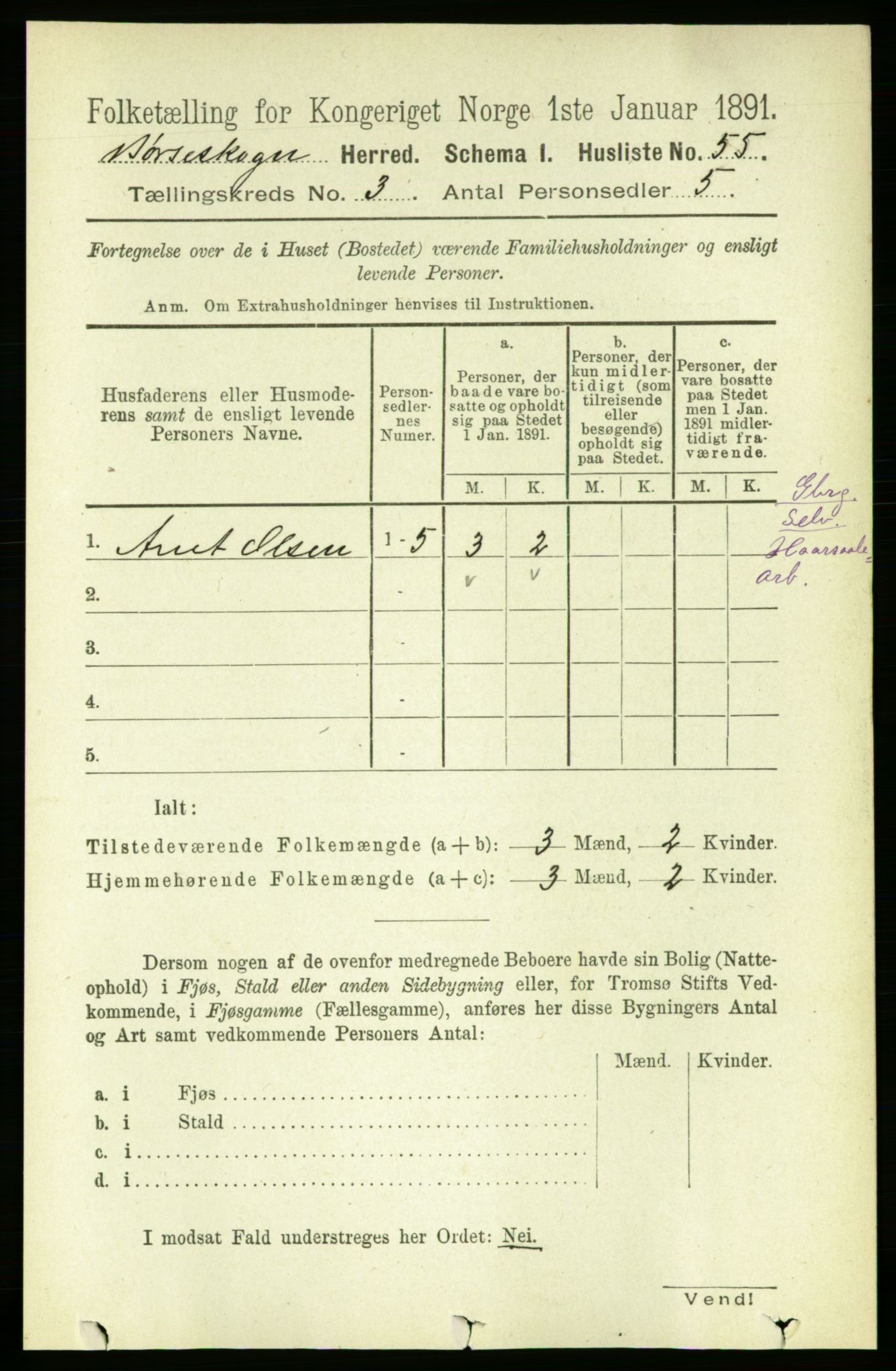 RA, 1891 census for 1657 Børseskogn, 1891, p. 1334