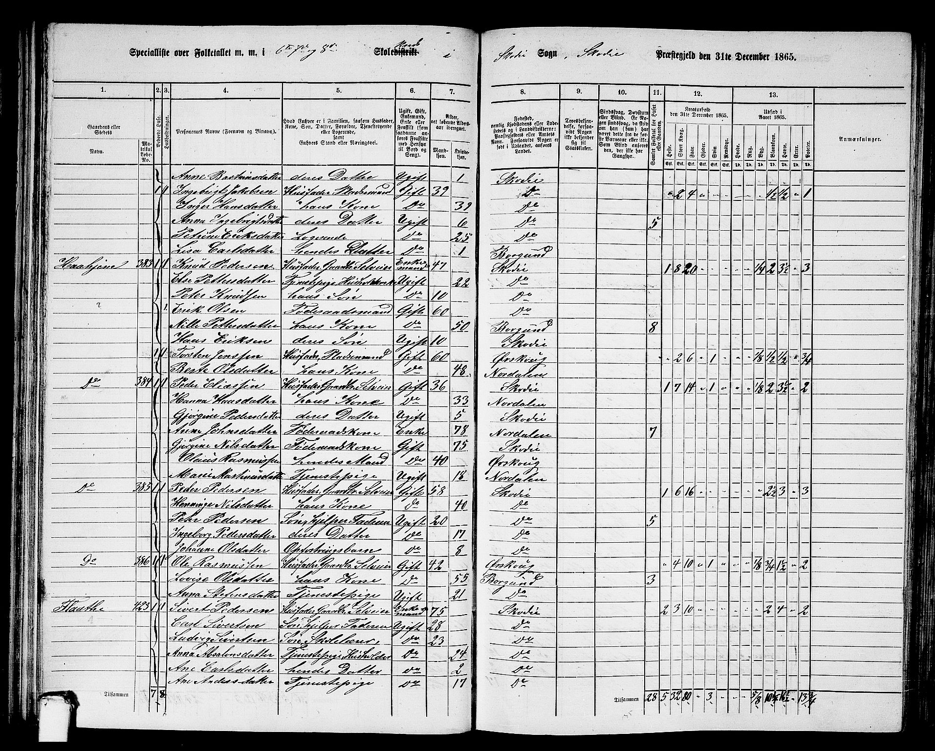 RA, 1865 census for Skodje, 1865, p. 51