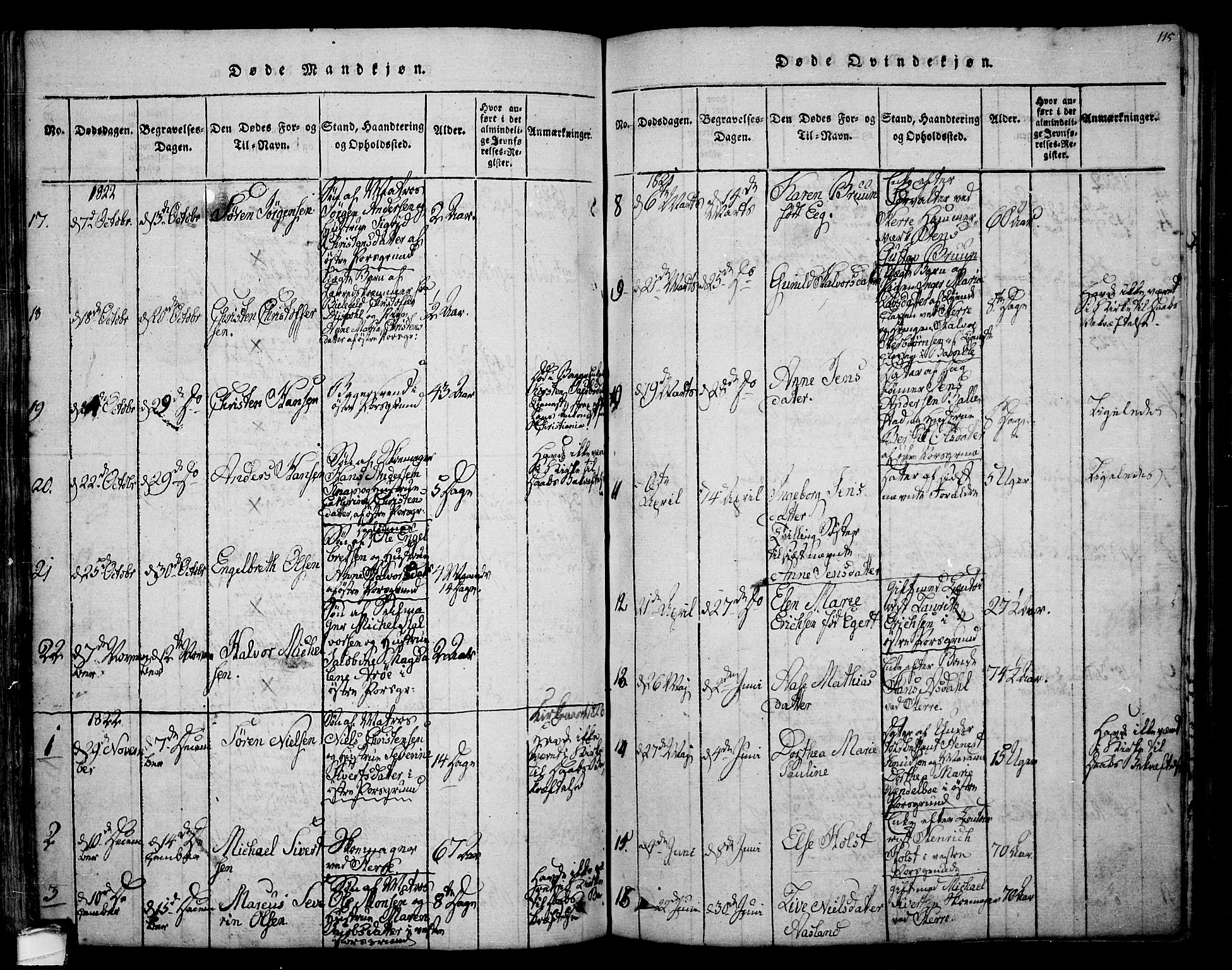Porsgrunn kirkebøker , SAKO/A-104/F/Fa/L0004: Parish register (official) no. 4, 1814-1828, p. 115