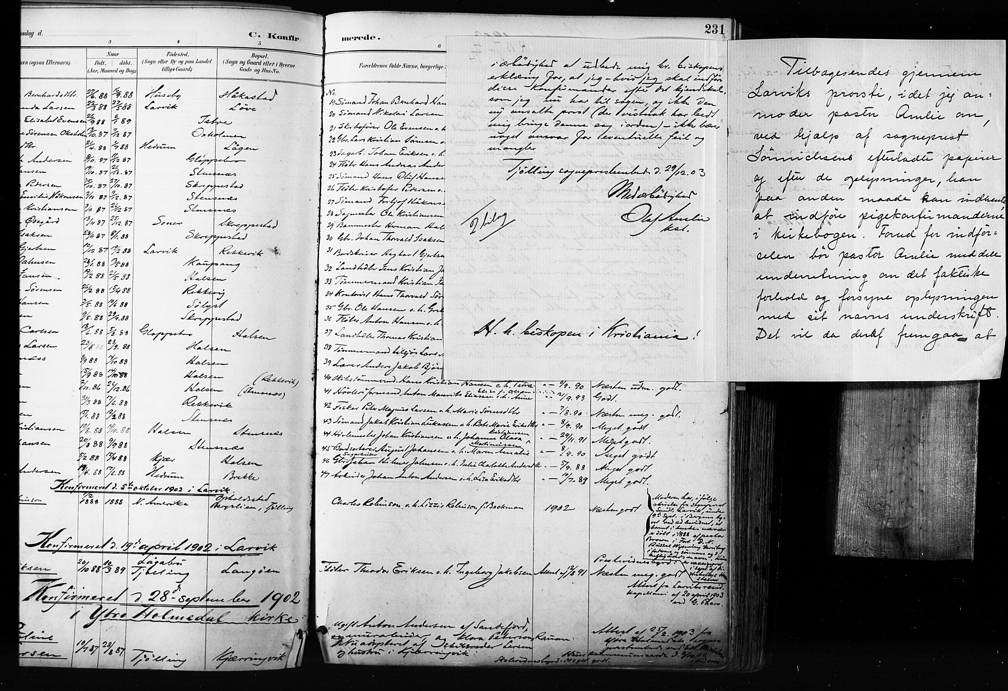 Tjølling kirkebøker, AV/SAKO-A-60/F/Fa/L0009: Parish register (official) no. 9, 1887-1905, p. 231