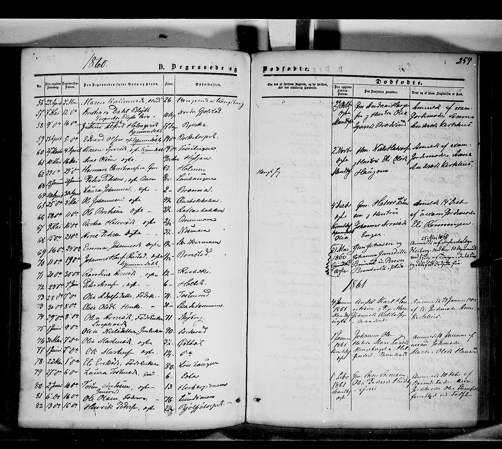 Grue prestekontor, AV/SAH-PREST-036/H/Ha/Haa/L0009: Parish register (official) no. 9, 1859-1863, p. 254