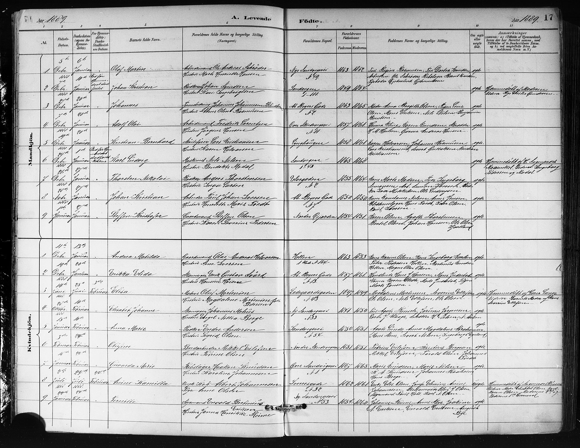 Sandviken Sokneprestembete, AV/SAB-A-77601/H/Hb/L0002: Parish register (copy) no. A 3, 1888-1902, p. 17