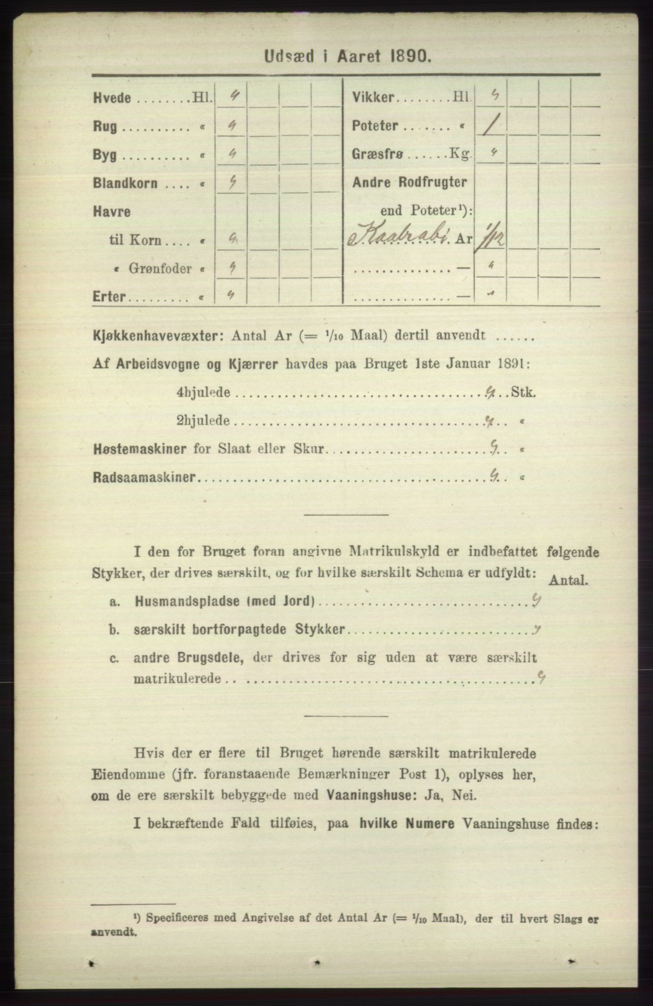 RA, 1891 census for 1251 Bruvik, 1891, p. 4561