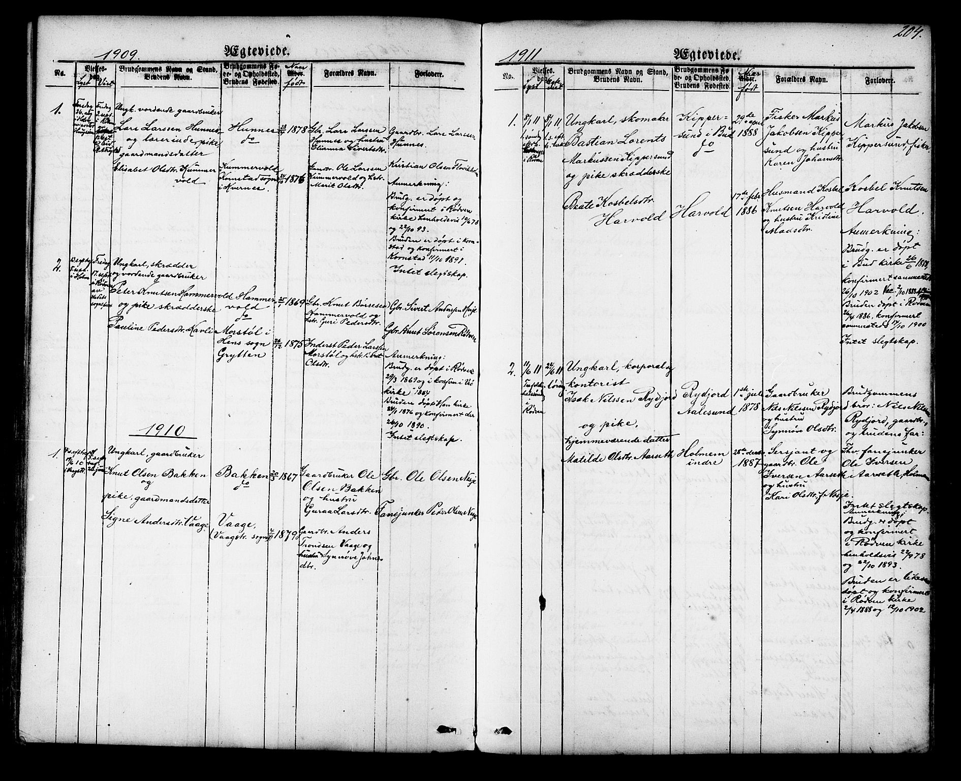 Ministerialprotokoller, klokkerbøker og fødselsregistre - Møre og Romsdal, SAT/A-1454/548/L0614: Parish register (copy) no. 548C02, 1867-1917, p. 204