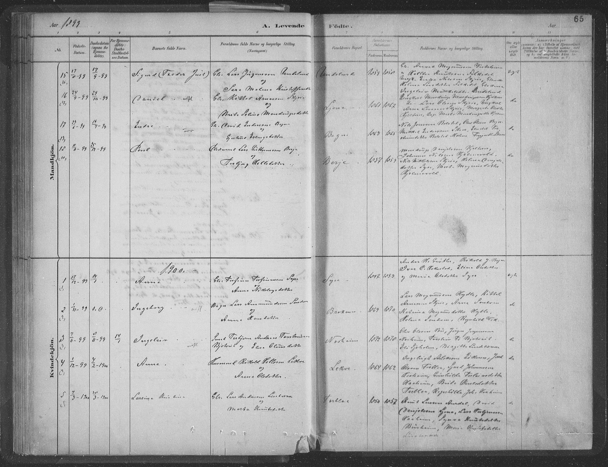 Ulvik sokneprestembete, AV/SAB-A-78801/H/Hab: Parish register (copy) no. A 3, 1883-1908, p. 65