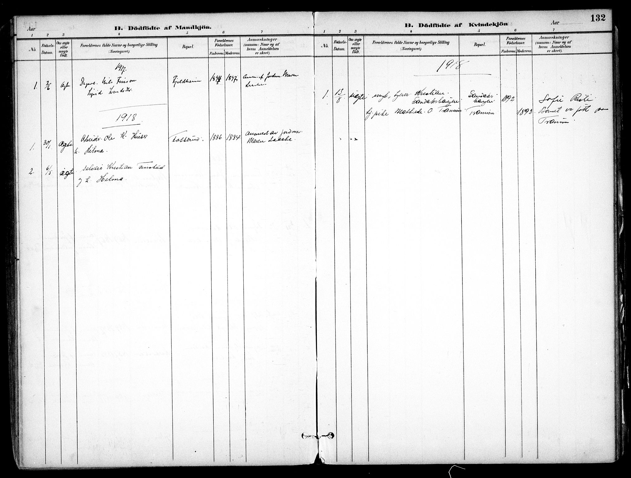 Nes prestekontor Kirkebøker, SAO/A-10410/F/Fb/L0002: Parish register (official) no. II 2, 1883-1918, p. 132