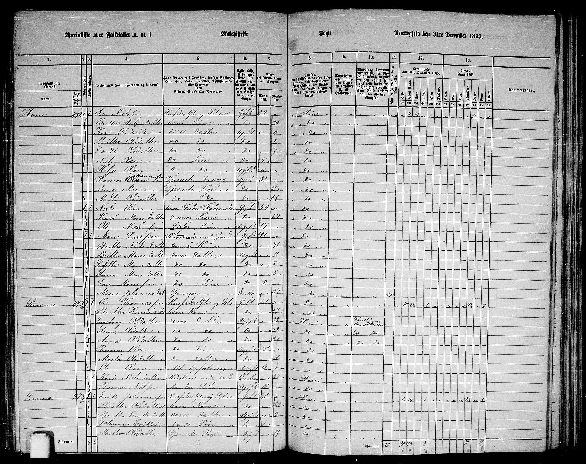 RA, 1865 census for Haus, 1865, p. 191