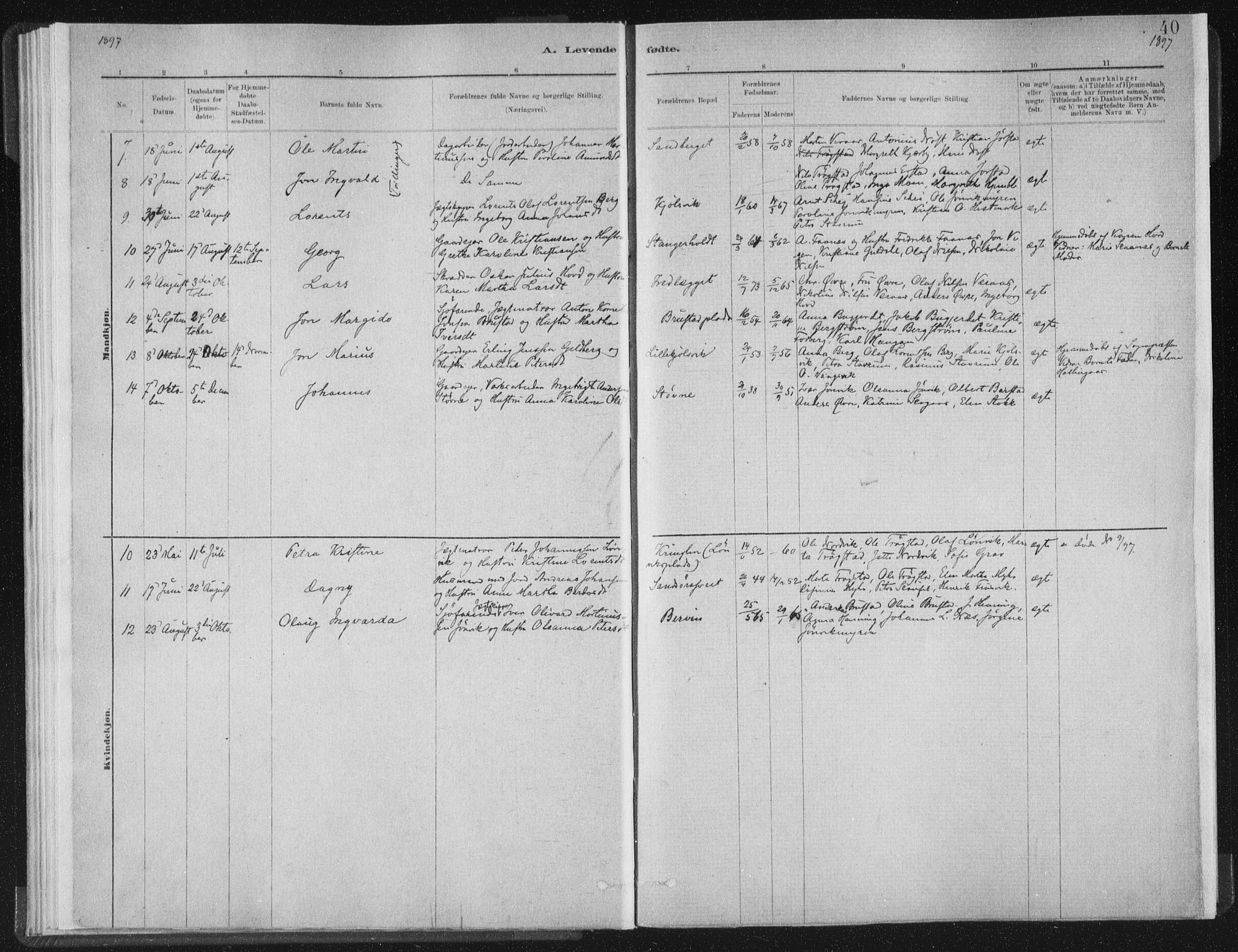 Ministerialprotokoller, klokkerbøker og fødselsregistre - Nord-Trøndelag, AV/SAT-A-1458/722/L0220: Parish register (official) no. 722A07, 1881-1908, p. 40