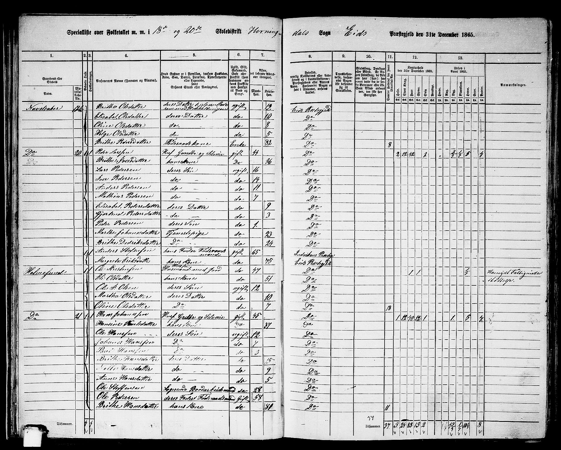 RA, 1865 census for Eid, 1865, p. 36