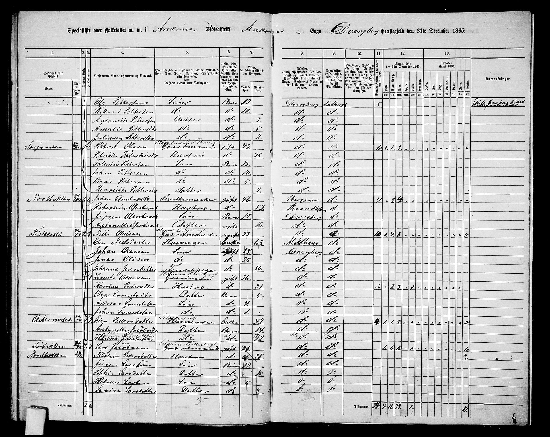 RA, 1865 census for Dverberg, 1865, p. 61