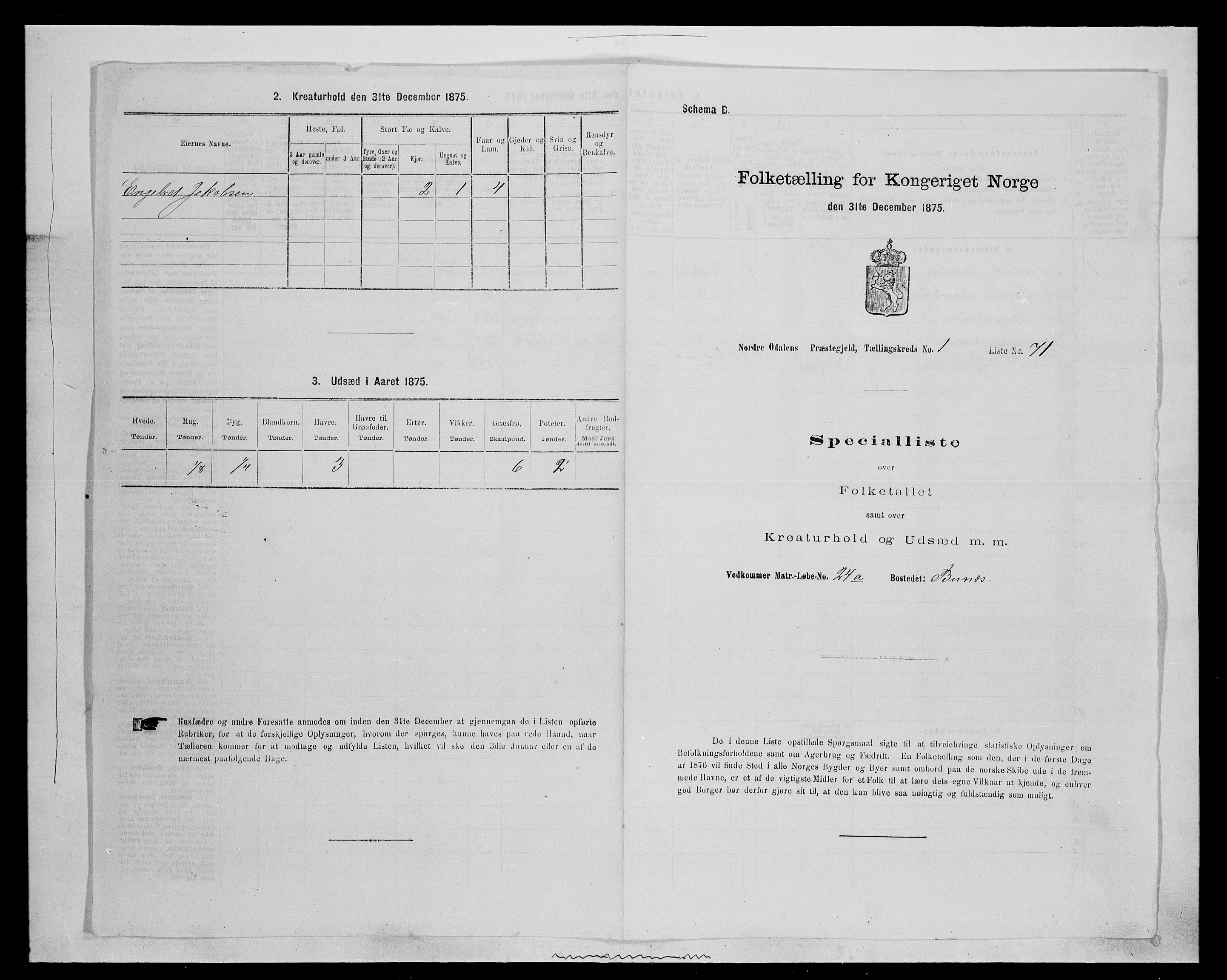 SAH, 1875 census for 0418P Nord-Odal, 1875, p. 213