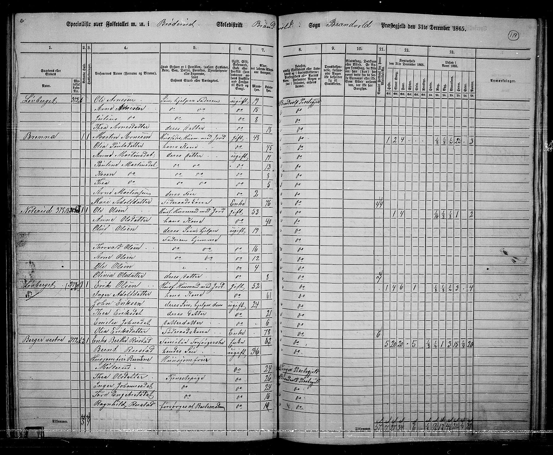 RA, 1865 census for Brandval, 1865, p. 100