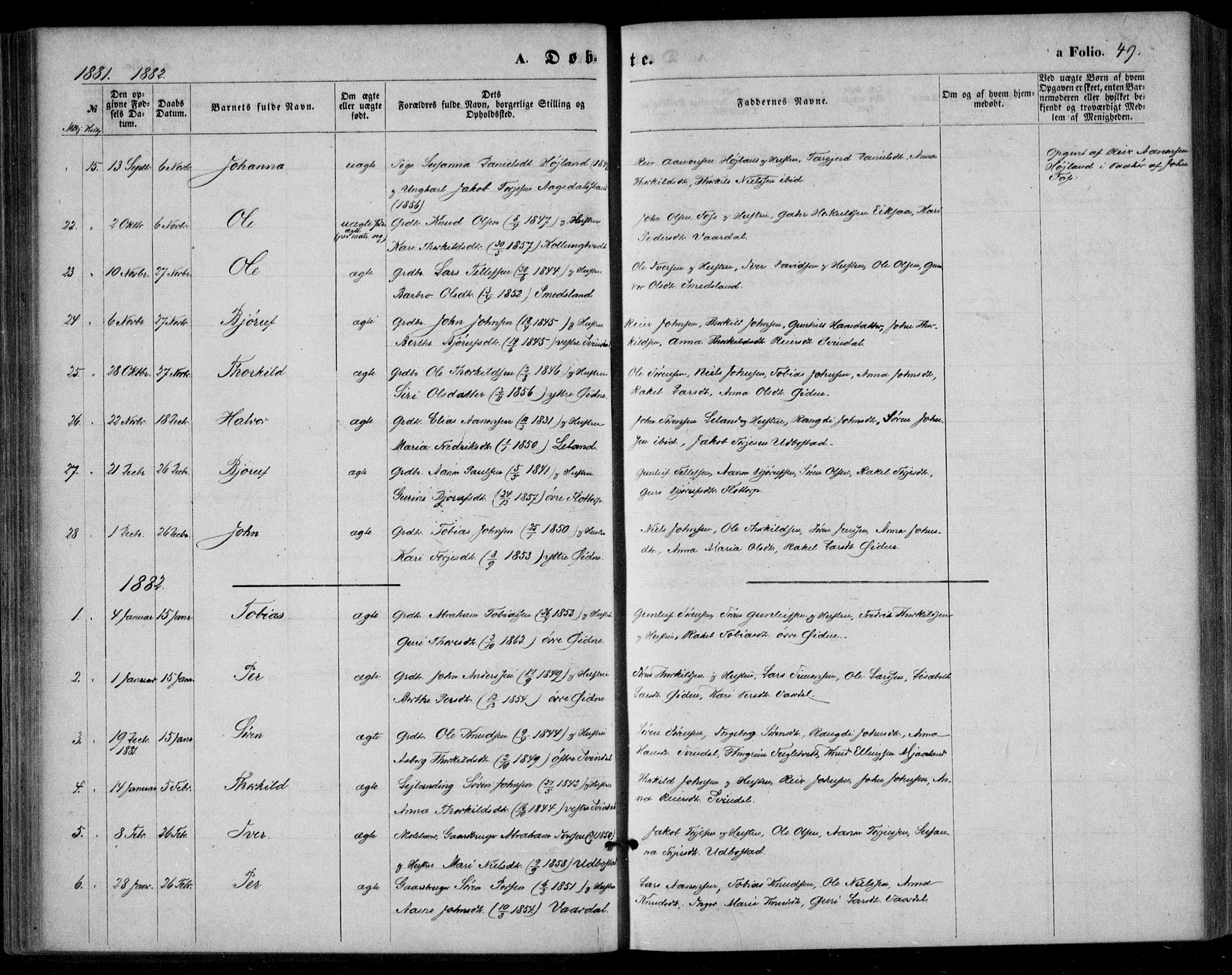 Bjelland sokneprestkontor, AV/SAK-1111-0005/F/Fa/Fac/L0002: Parish register (official) no. A 2, 1866-1887, p. 49