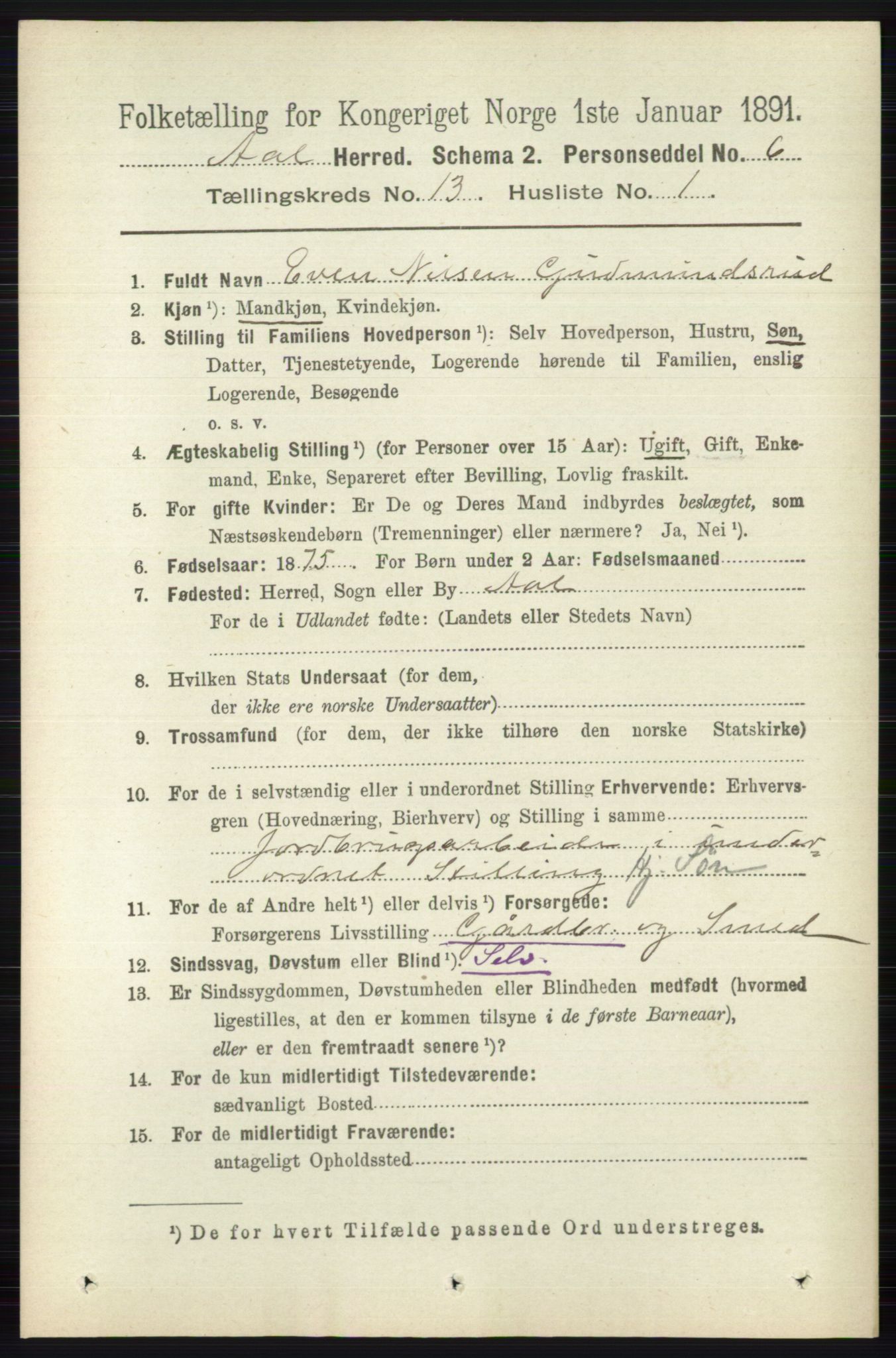 RA, 1891 census for 0619 Ål, 1891, p. 3263