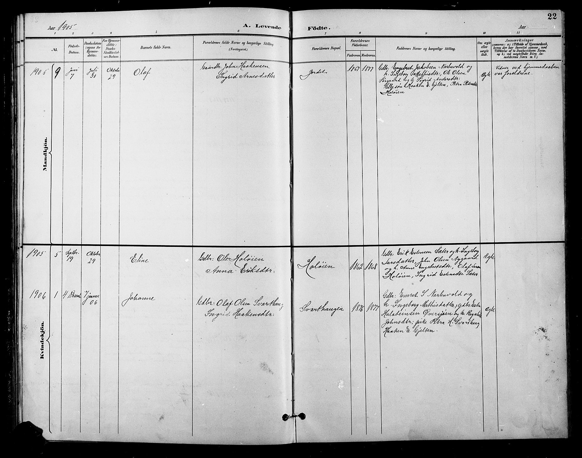 Tolga prestekontor, AV/SAH-PREST-062/L/L0011: Parish register (copy) no. 11, 1894-1925, p. 22