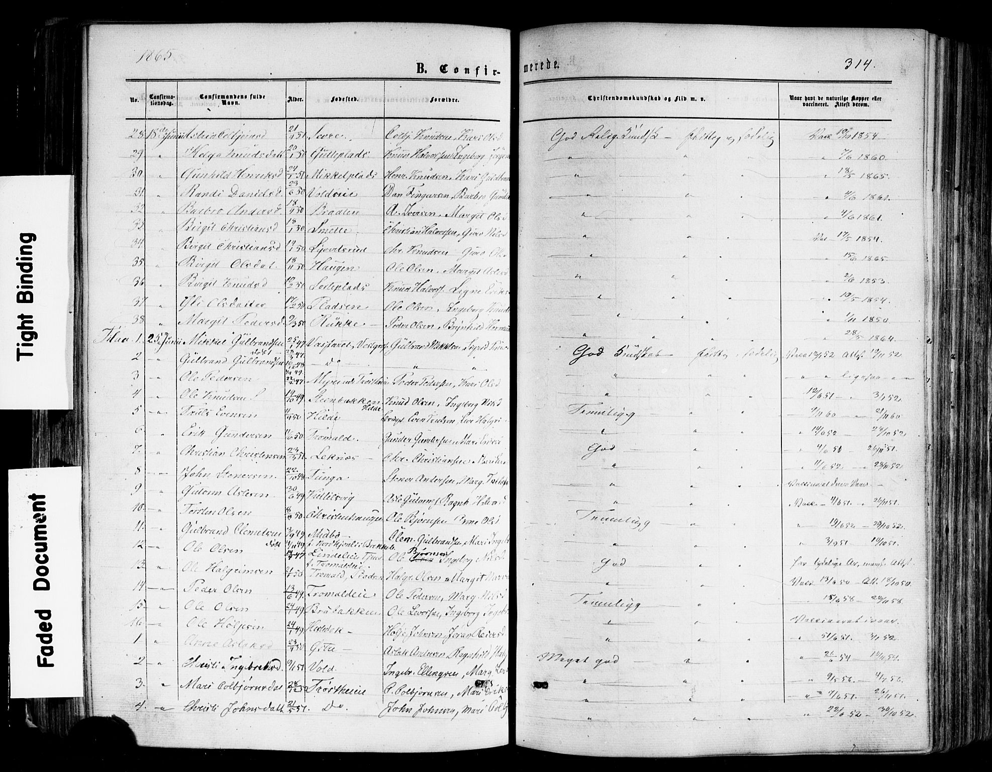 Nes kirkebøker, AV/SAKO-A-236/F/Fa/L0010: Parish register (official) no. 10, 1864-1880, p. 314