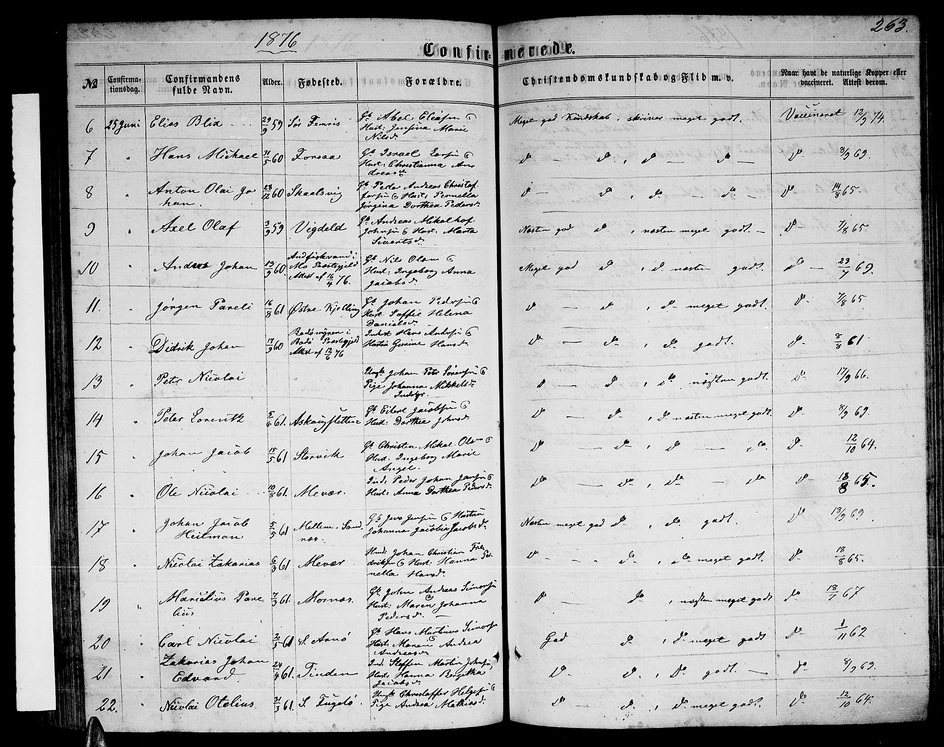 Ministerialprotokoller, klokkerbøker og fødselsregistre - Nordland, AV/SAT-A-1459/805/L0107: Parish register (copy) no. 805C03, 1862-1885, p. 263