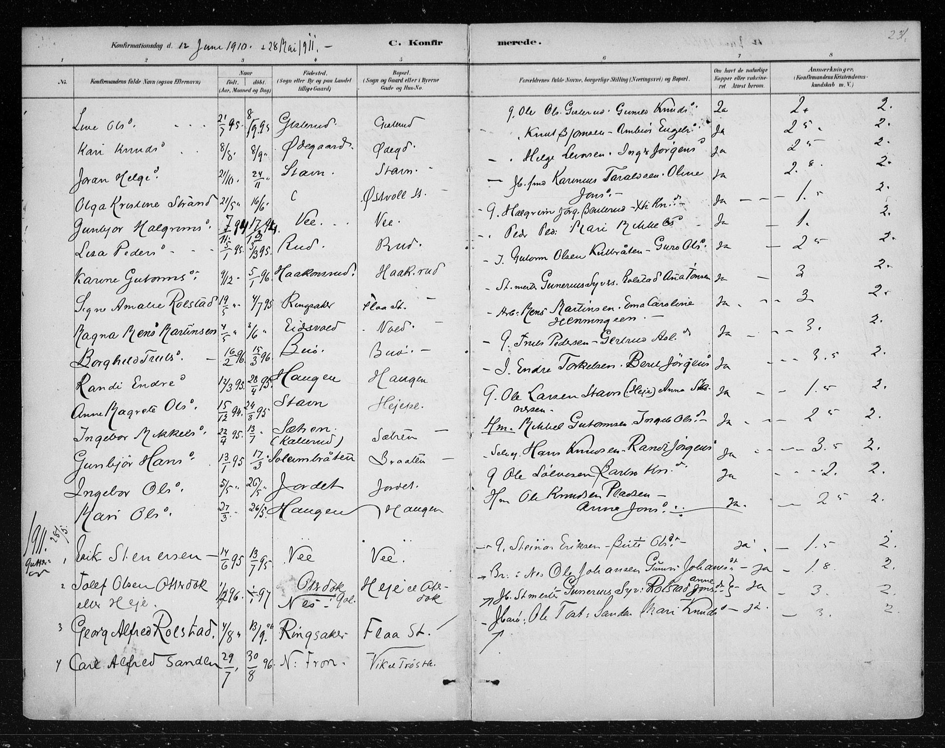 Nes kirkebøker, AV/SAKO-A-236/F/Fa/L0012: Parish register (official) no. 12, 1881-1917, p. 231