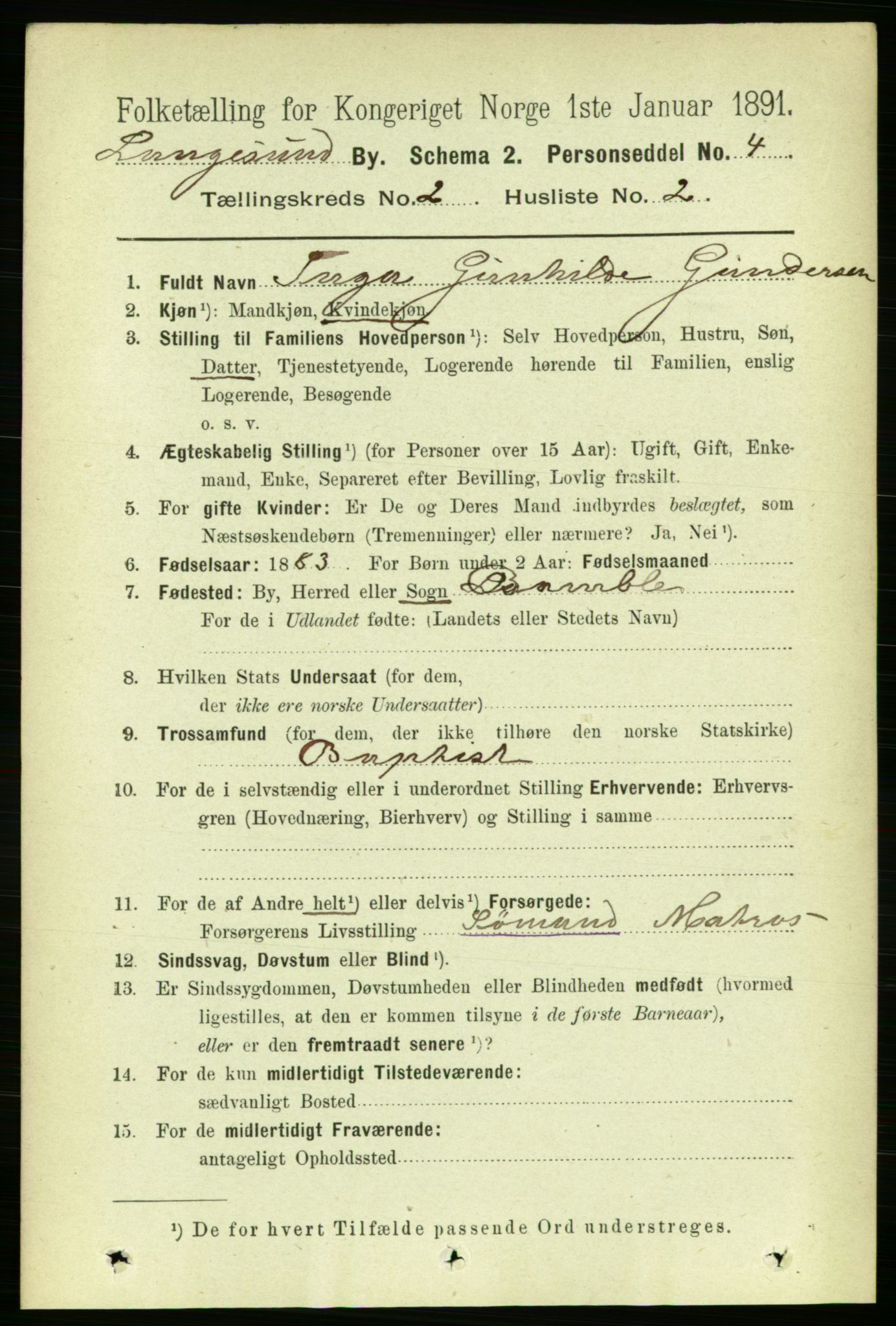 RA, 1891 census for 0802 Langesund, 1891, p. 718