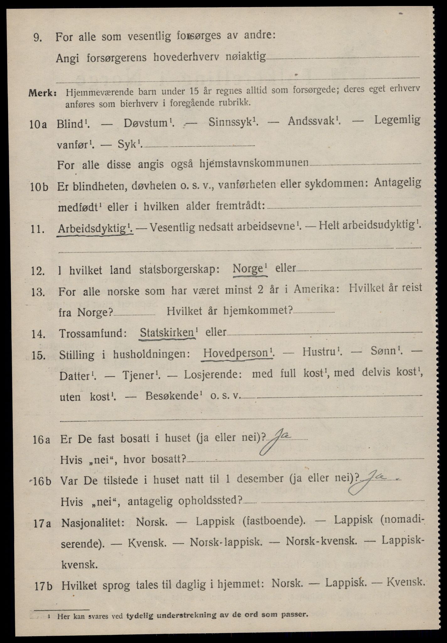 SAT, 1920 census for Hemne, 1920, p. 3111