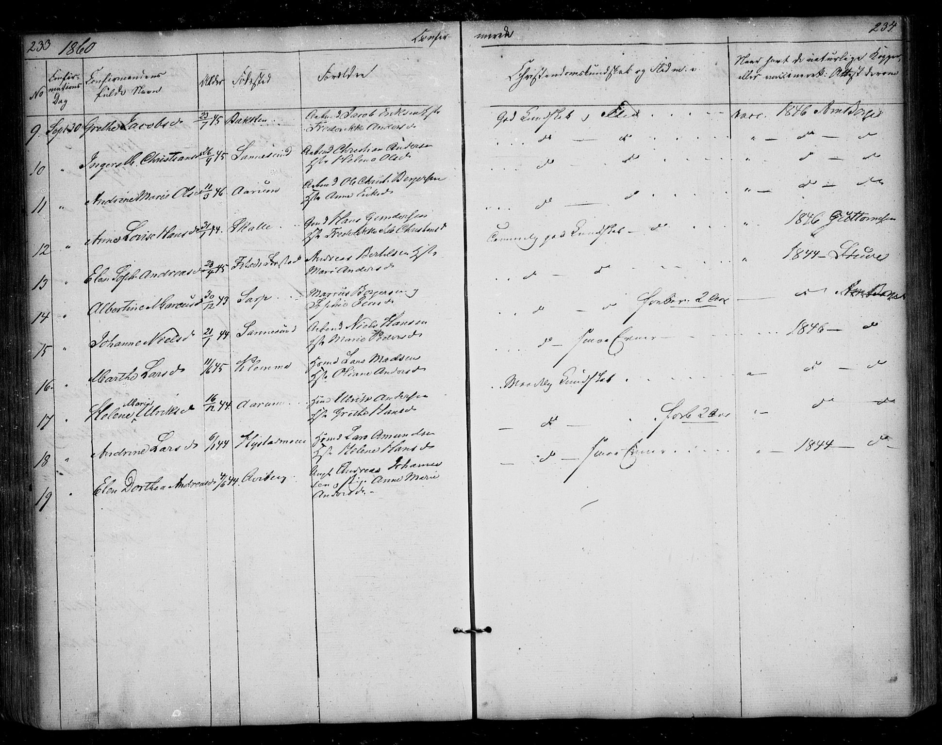 Borge prestekontor Kirkebøker, AV/SAO-A-10903/F/Fa/L0005: Parish register (official) no. I 5, 1848-1860, p. 233-234