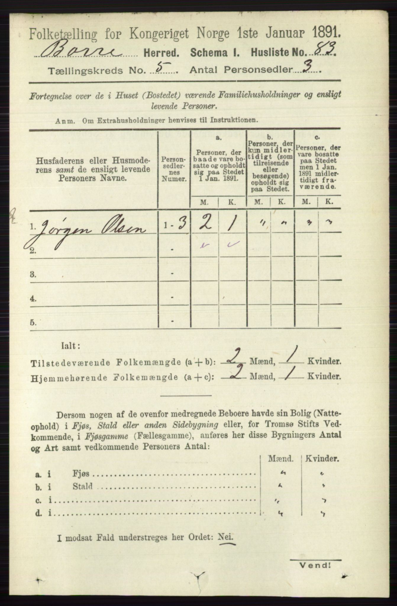 RA, 1891 census for 0717 Borre, 1891, p. 2005