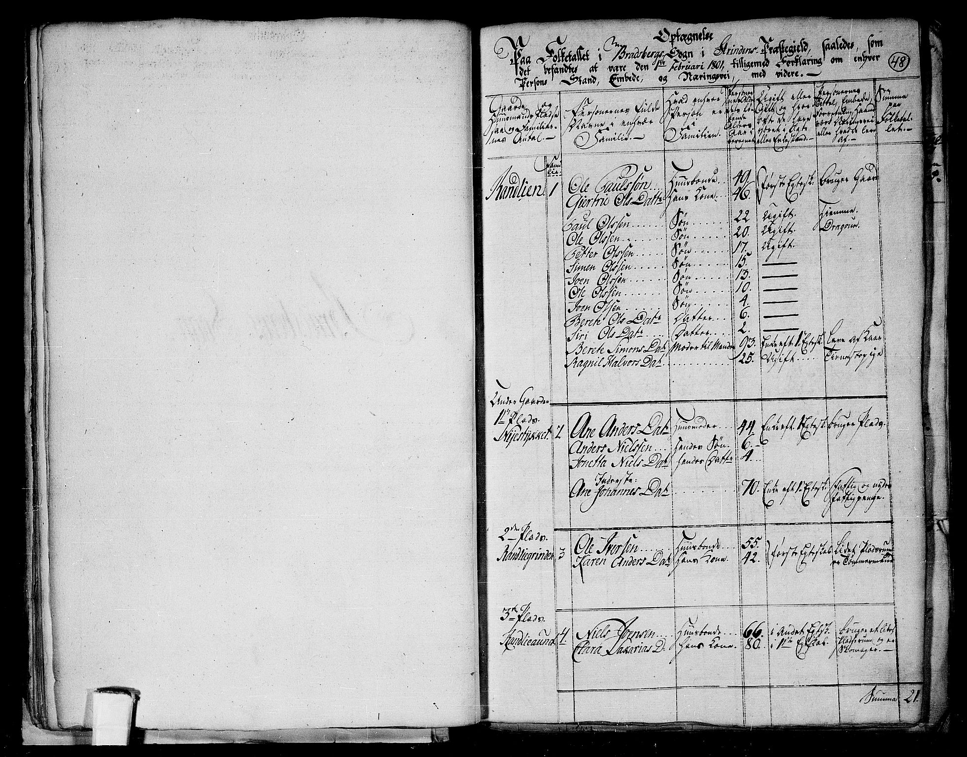 RA, 1801 census for 1660P Strinda, 1801, p. 47b-48a