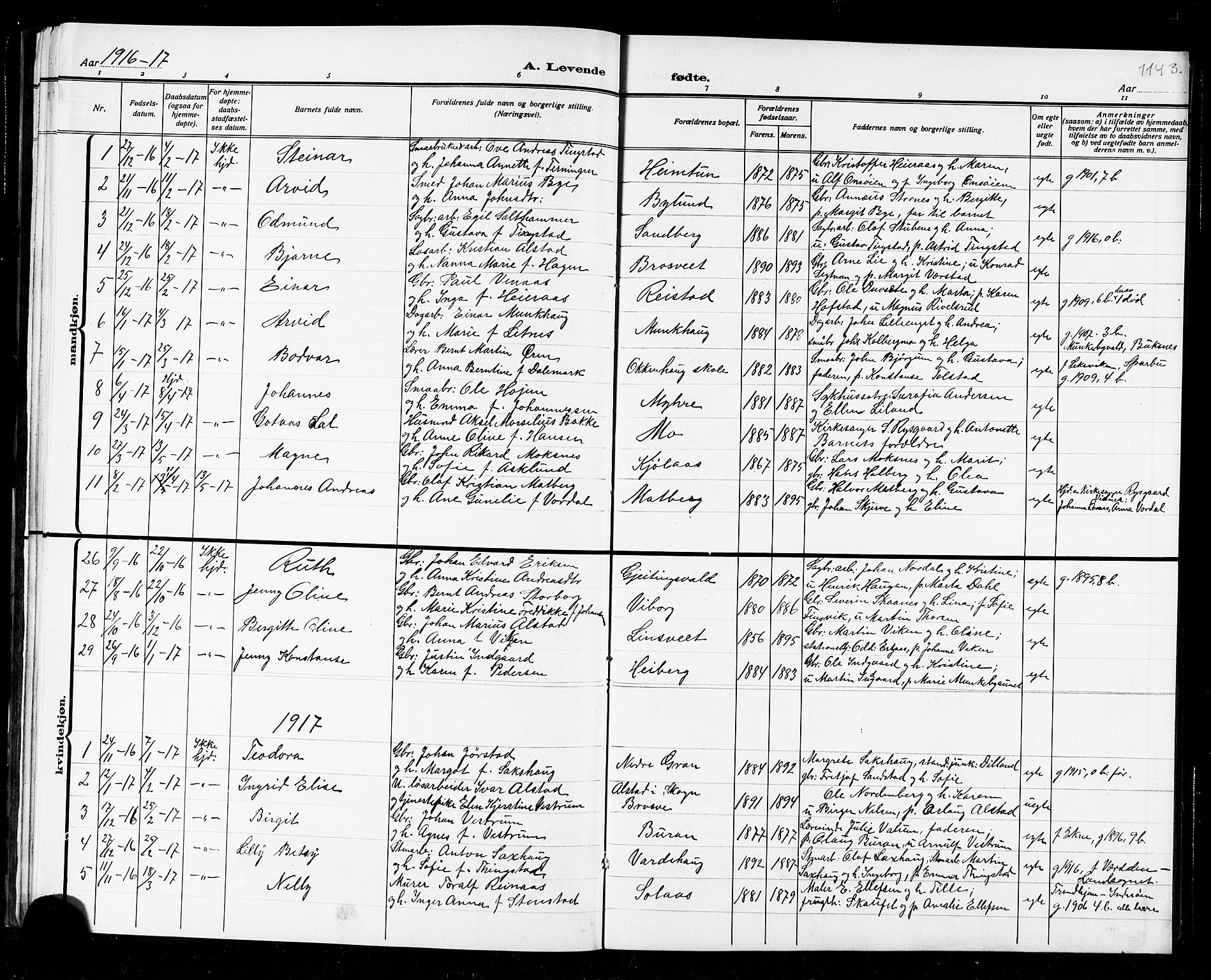 Ministerialprotokoller, klokkerbøker og fødselsregistre - Nord-Trøndelag, SAT/A-1458/721/L0208: Parish register (copy) no. 721C01, 1880-1917, p. 96t