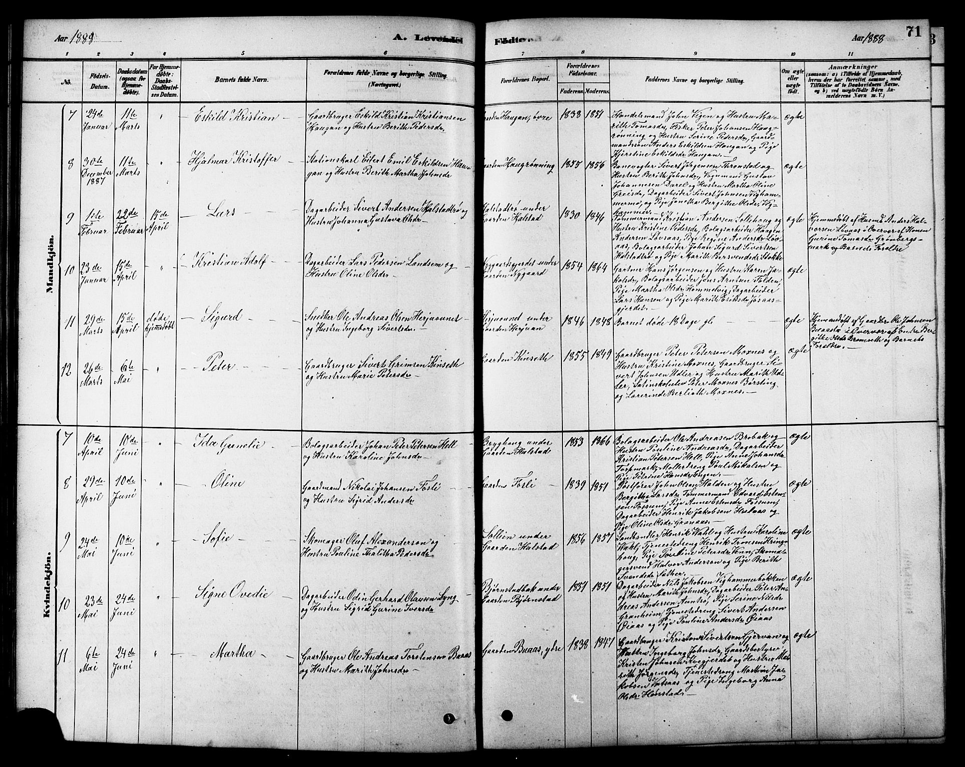 Ministerialprotokoller, klokkerbøker og fødselsregistre - Sør-Trøndelag, AV/SAT-A-1456/616/L0423: Parish register (copy) no. 616C06, 1878-1903, p. 71